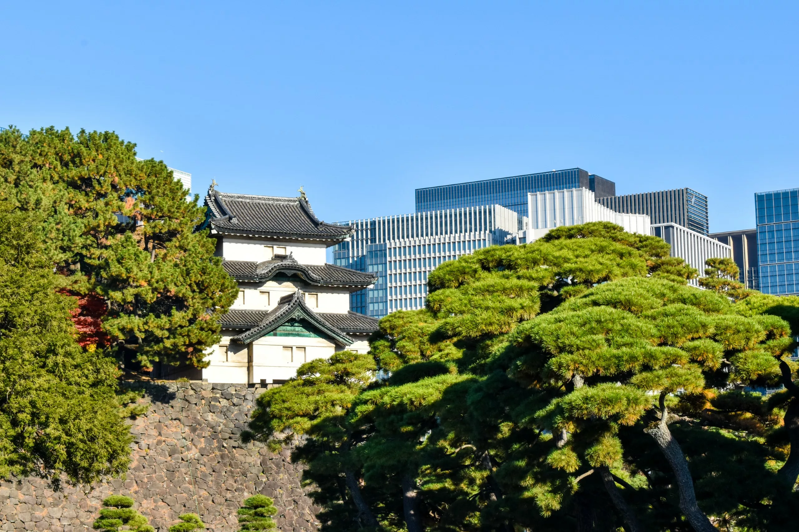 Bâtiment traditionnel japonais ressemblant à un château, entouré d'arbres et de murs de pierre, avec des gratte-ciel modernes en verre à l'arrière - à voir absolument si vous vous demandez que faire à Tokyo sous un ciel bleu limpide.