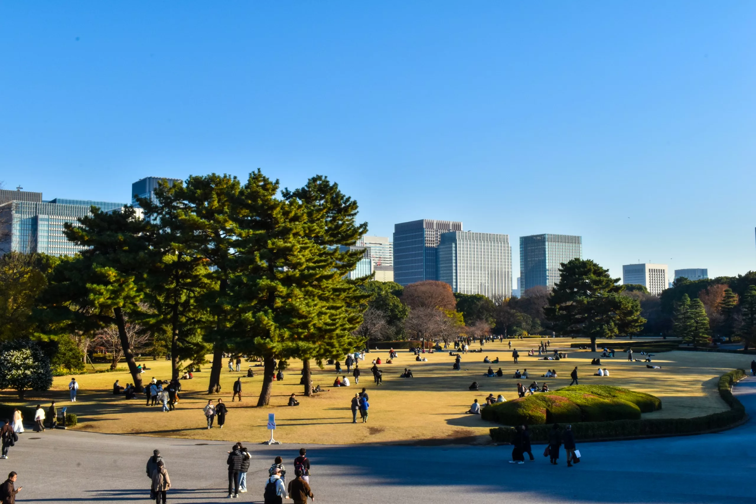 Des gens marchent et s'assoient sur l'herbe dans un grand parc avec de grands arbres, avec des bâtiments urbains modernes en arrière-plan sous un ciel bleu clair - parfait pour ceux qui se demandent que faire à Tokyo.