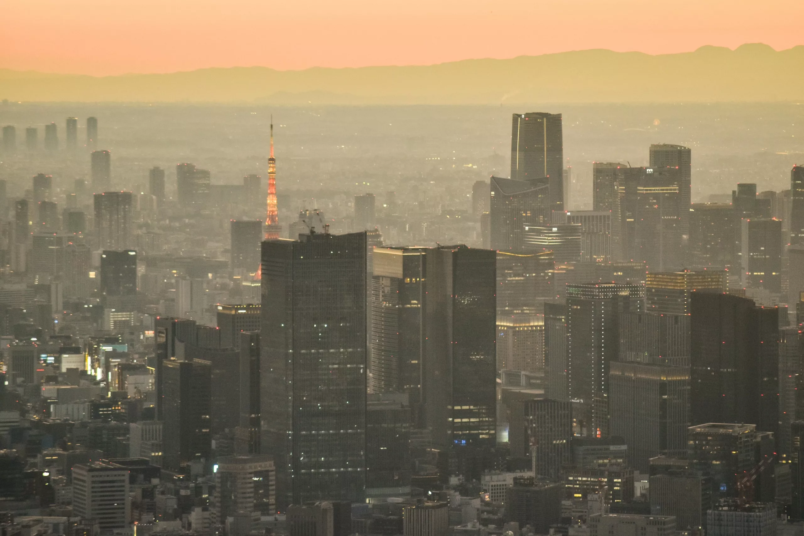 Un paysage urbain au crépuscule montre de nombreux gratte-ciel modernes dans un ciel brumeux et des montagnes lointaines. La tour de Tokyo, un point fort pour tous ceux qui se demandent ce qu'il faut faire à Tokyo, brille en orange parmi les bâtiments aux tons chauds et sourds.