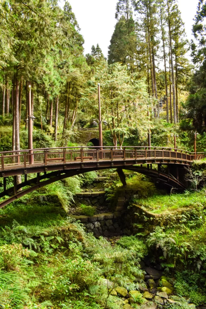 Un pont en bois aux rambardes brunes enjambe une petite crique rocheuse entourée d'une forêt verte dense et de grands arbres 