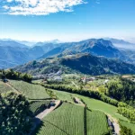 Vue drone sur les montagnes et les champs de thé