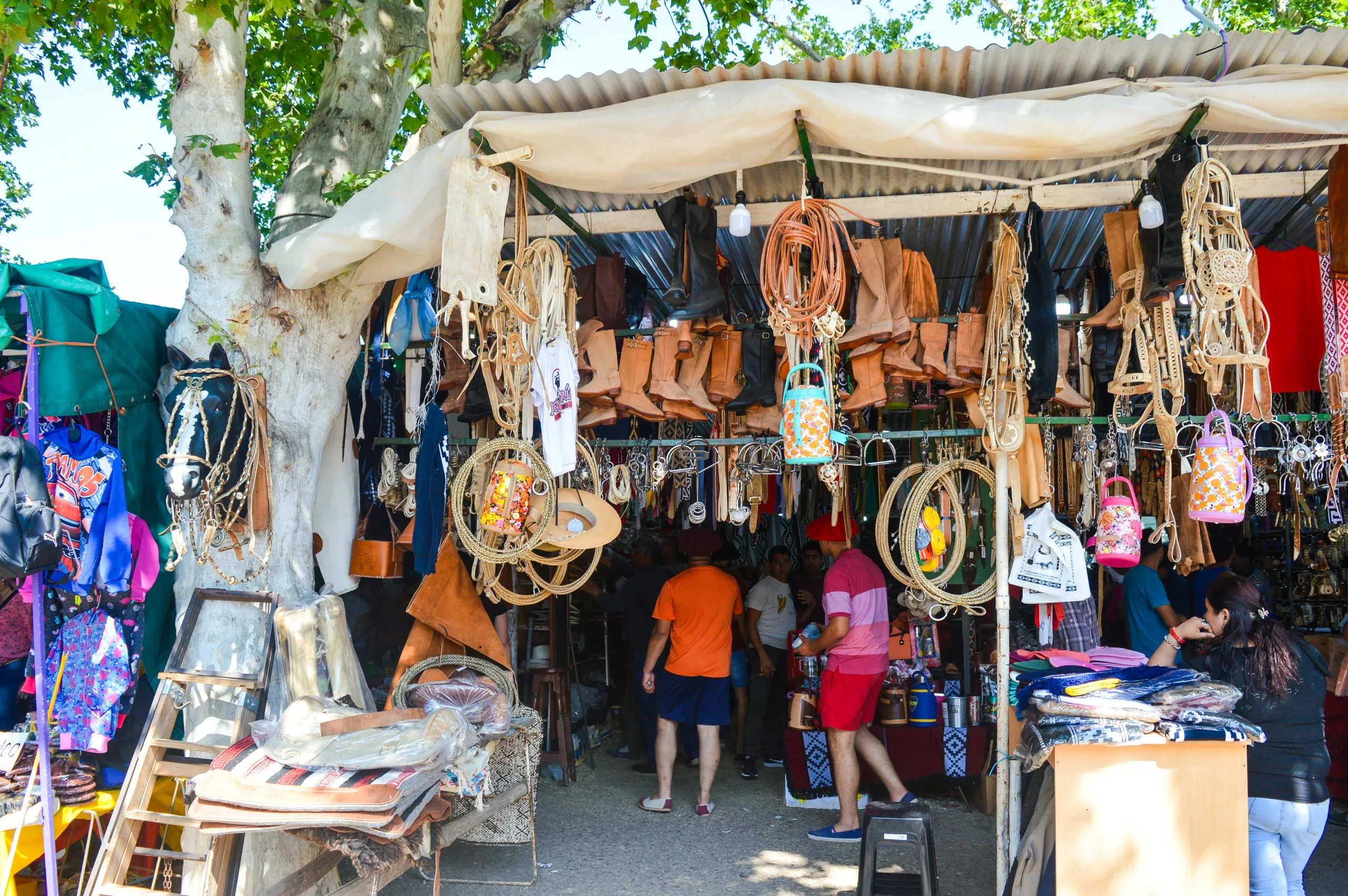 Un étal de marché en plein air présente divers articles en cuir, des sacs et de l'artisanat tissé, parfaits pour ceux qui se demandent que faire en Argentine. Plusieurs personnes sont à l'intérieur de l'étal ombragé, sous un grand arbre dont les feuilles laissent filtrer la lumière du soleil.