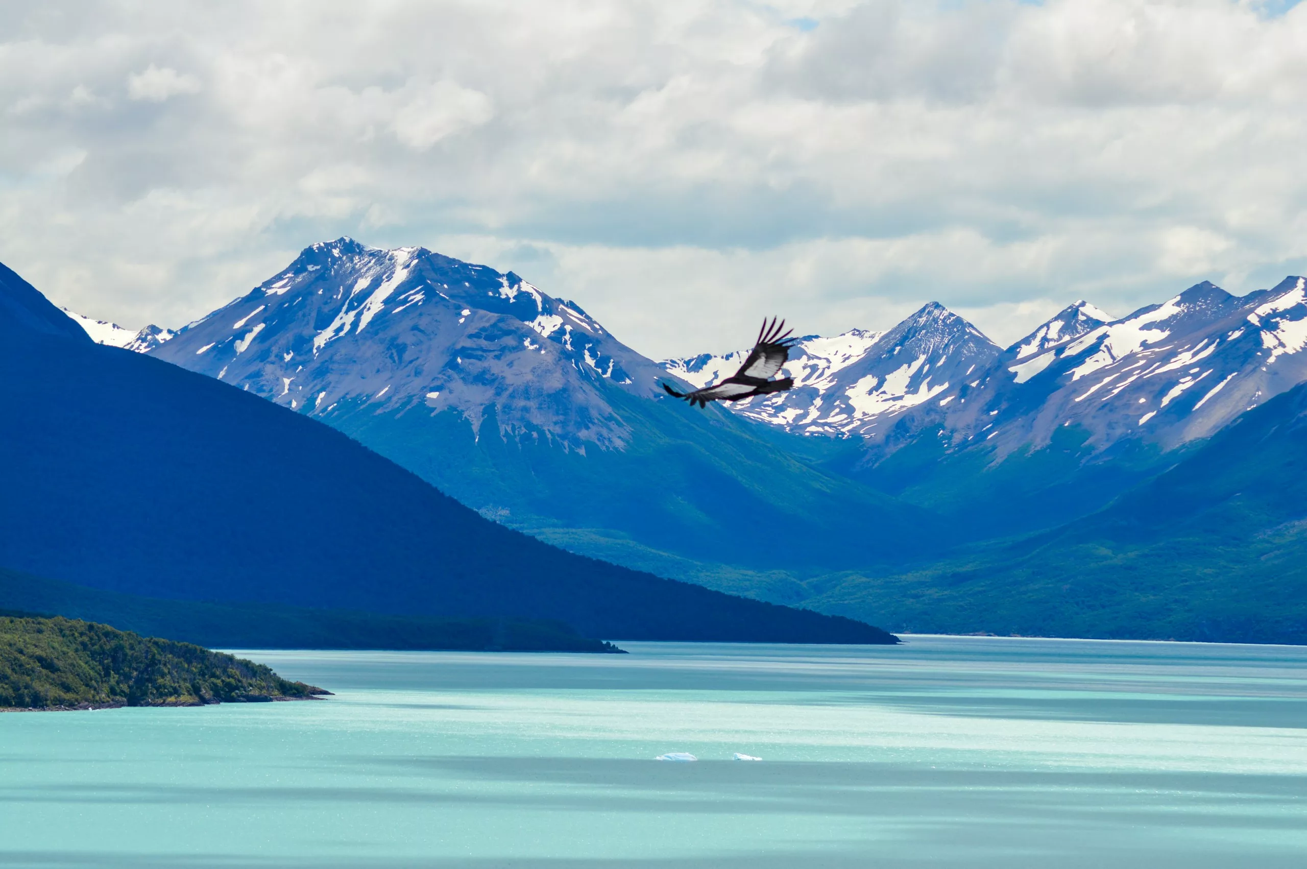Un condor vole au-dessus d'un lac turquoise avec des montagnes enneigées en arrière-plan sous un ciel partiellement nuageux