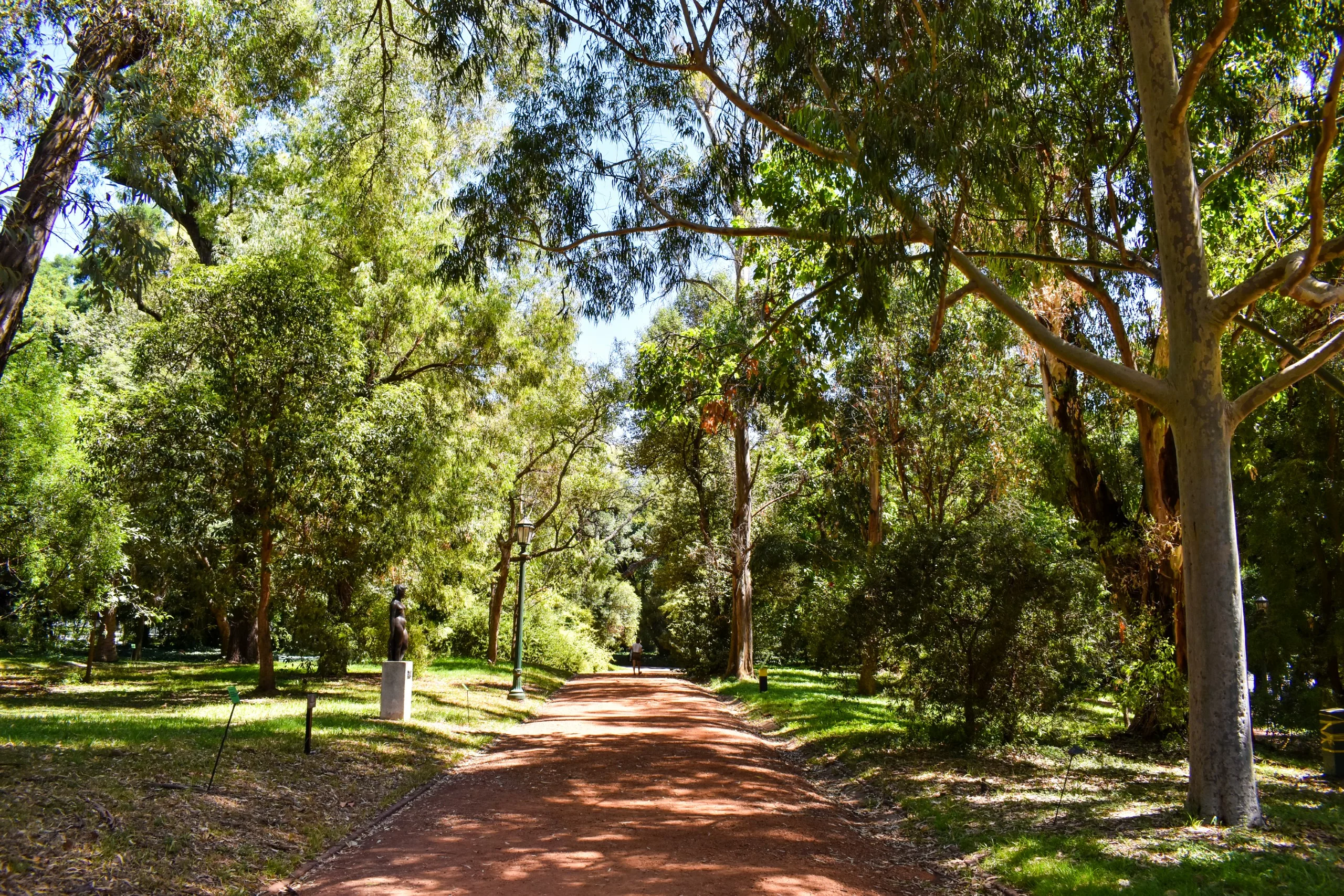 Un large chemin de terre traverse un parc aux grands arbres verts et au feuillage dense. La lumière du soleil filtre à travers les branches, projetant des ombres pommelées.