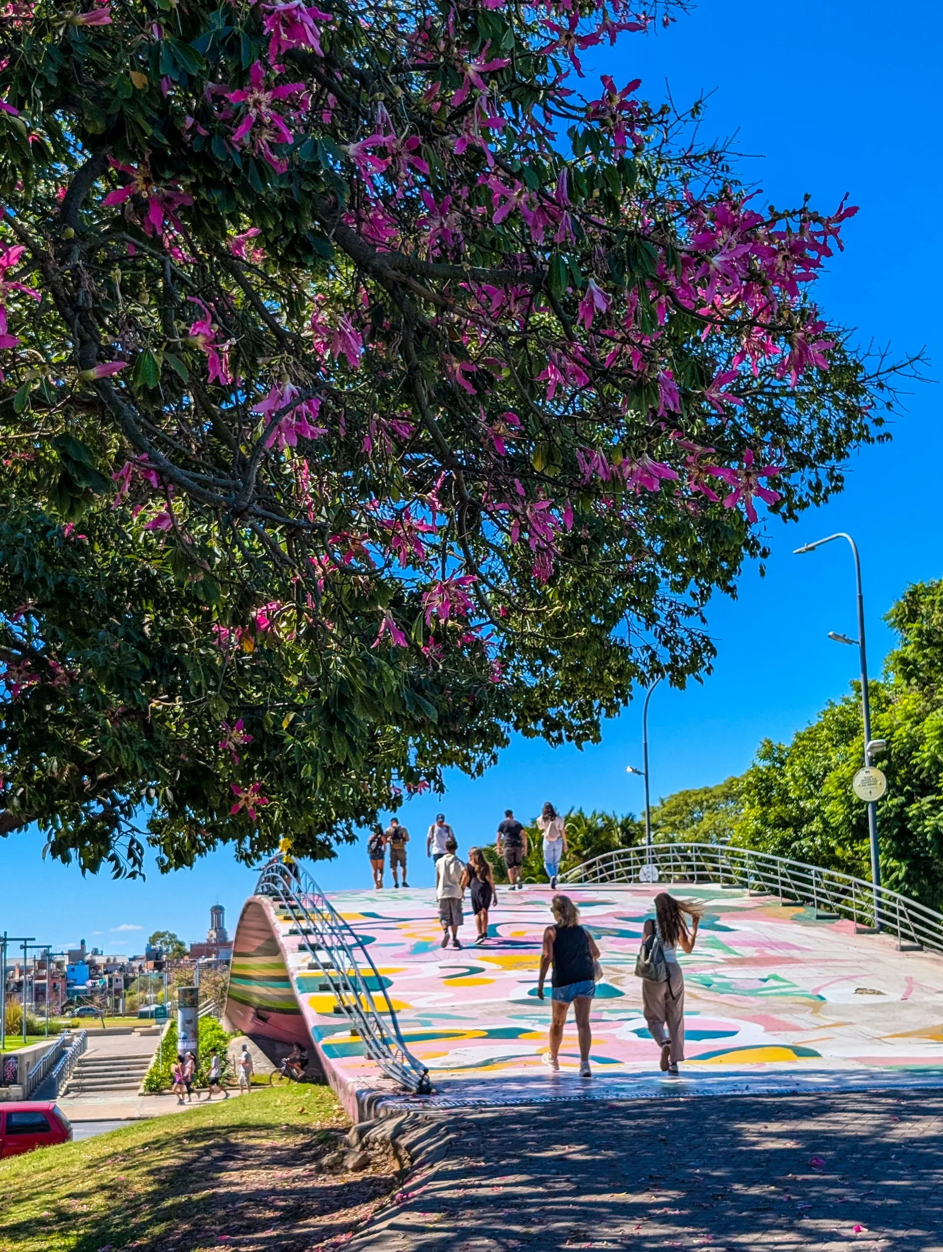 Des personnes marchent sur un pont piétonnier coloré et incurvé, sous un grand arbre aux fleurs roses lors d'une journée ensoleillée. De la verdure et des lampadaires sont visibles à l'arrière-plan.
