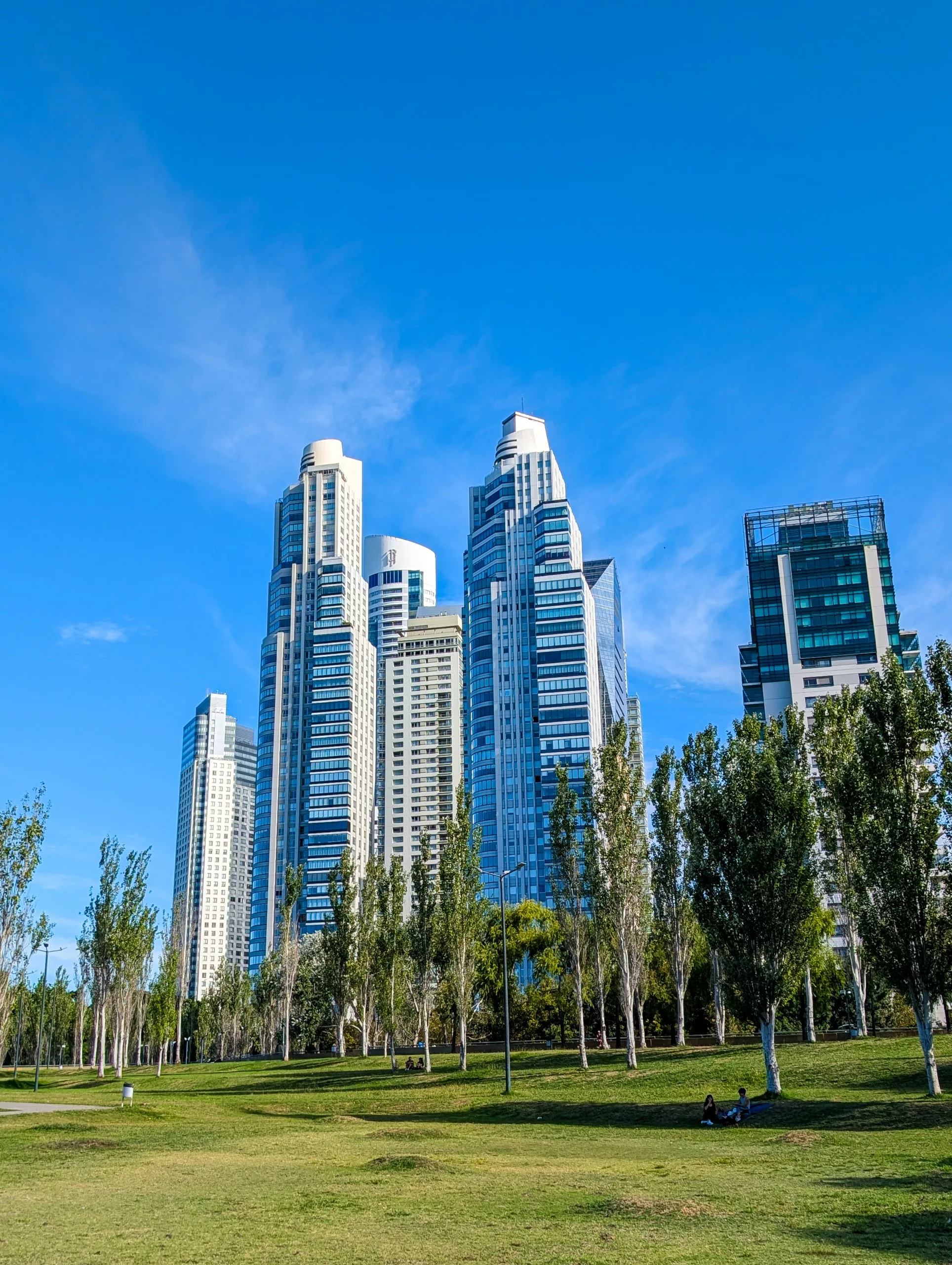 Plusieurs gratte-ciel modernes se dressent derrière une rangée de grands arbres et une pelouse verte sous un ciel bleu clair