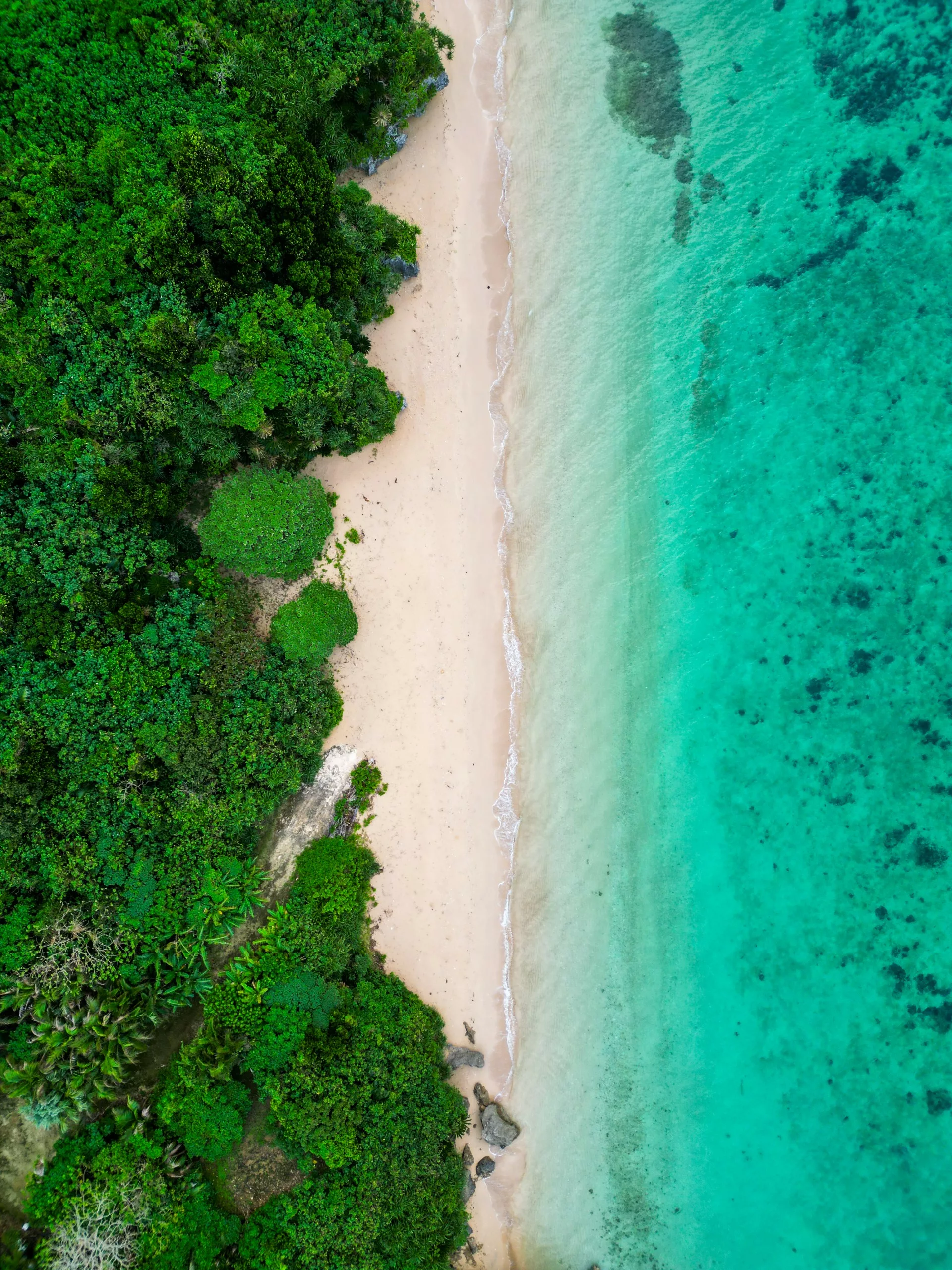 Vue aérienne d'une plage d'Okinawa, avec à gauche une végétation luxuriante, au centre du sable clair et à droite une eau turquoise cristalline