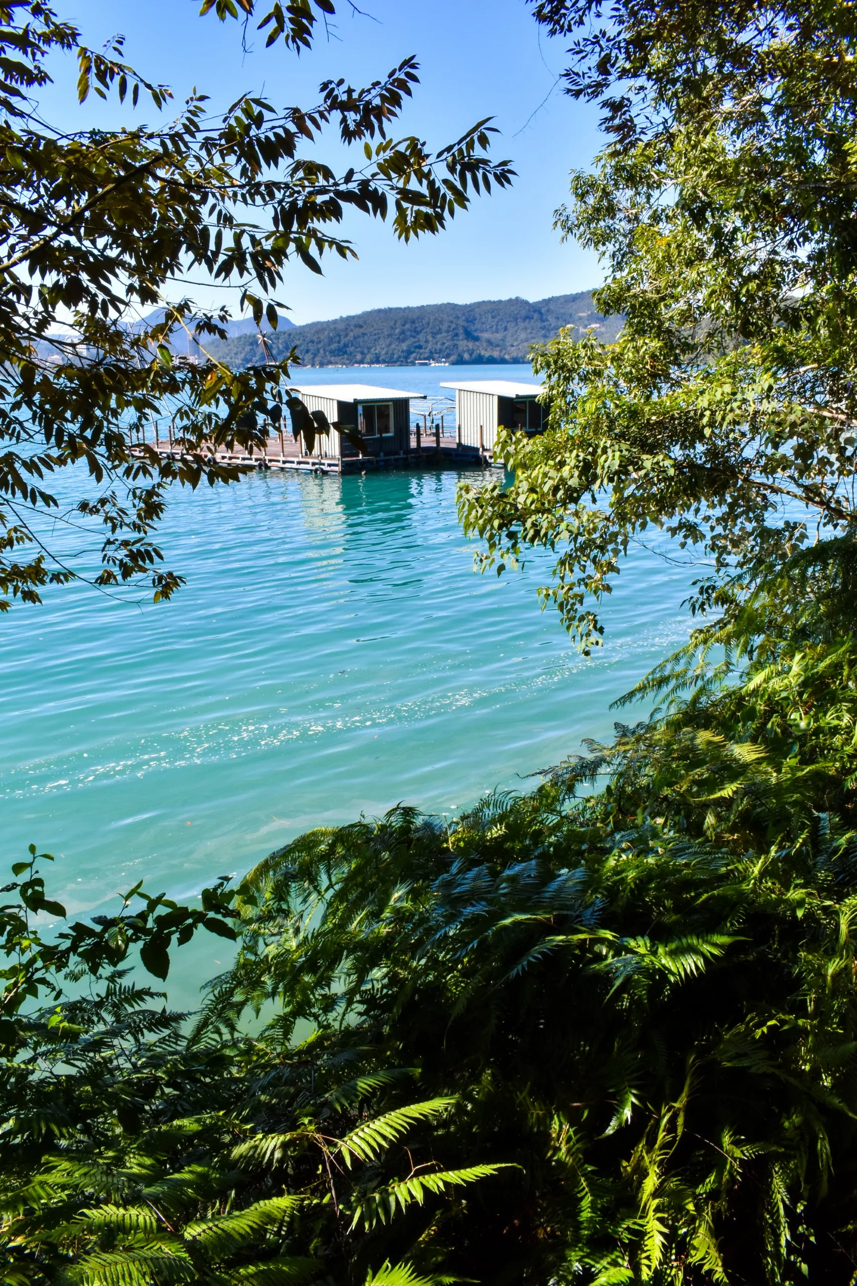 Une maison flotte sur l'eau turquoise du lac Sun Moon, vue à travers des plantes et des arbres verts, avec des collines en arrière-plan sous un ciel bleu clair