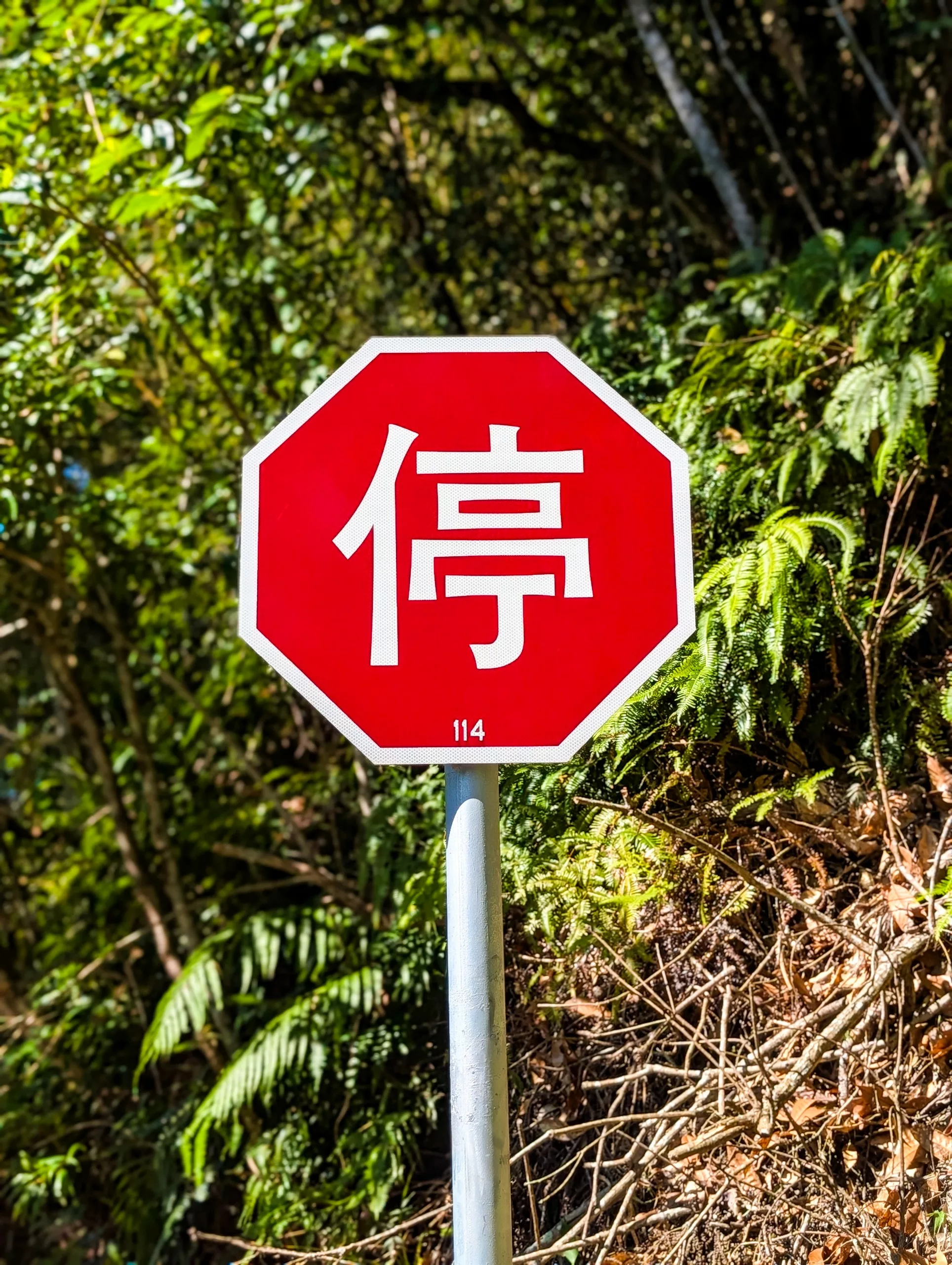 Un panneau d'arrêt octogonal rouge avec une bordure blanche et un caractère chinois au centre, monté sur un poteau métallique, se trouve à côté d'une zone boisée