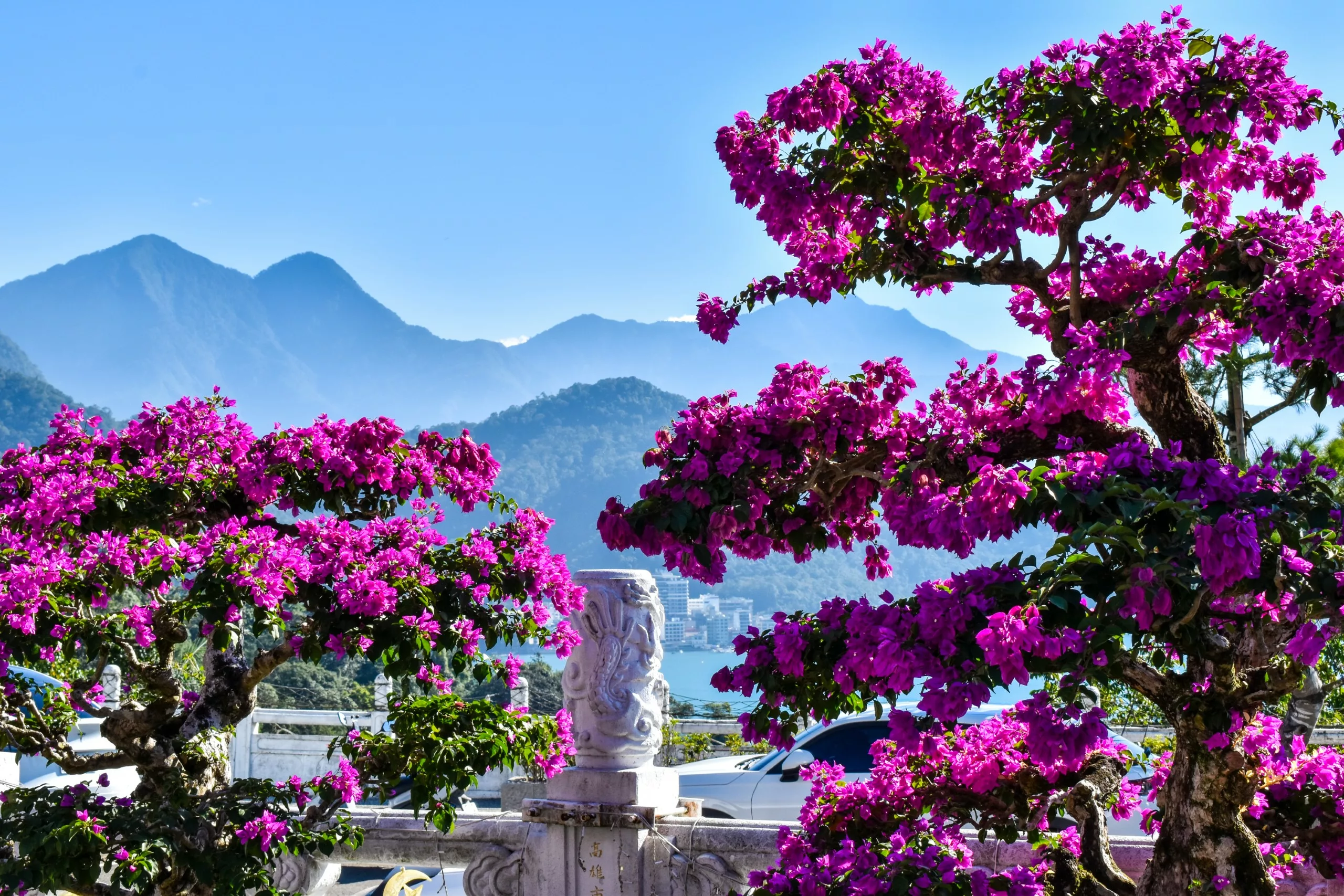 Des bougainvilliers rose vif encadrent une balustrade en pierre au centre de laquelle se trouve une statue de lion. Les montagnes et le ciel bleu s'élèvent au-dessus.