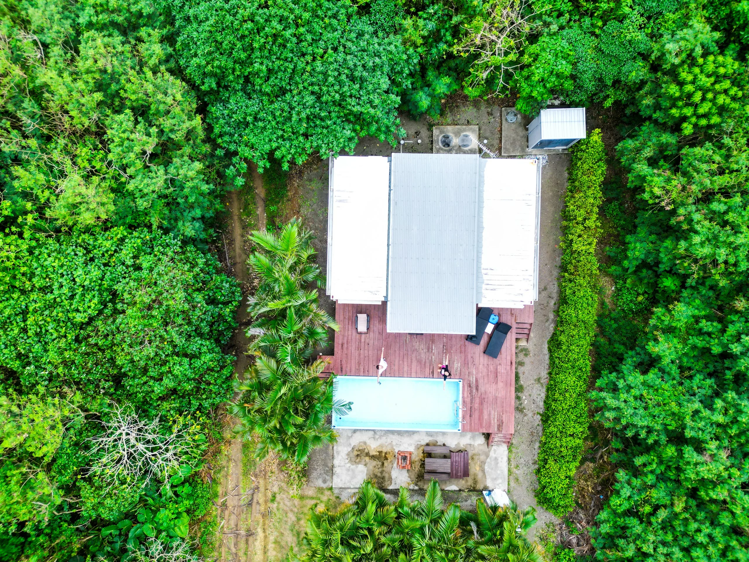 Vue aérienne d'une maison rectangulaire au toit gris, entourée d'arbres verdoyants et touffus. La terrasse comprend une piscine, des chaises longues et une petite annexe.