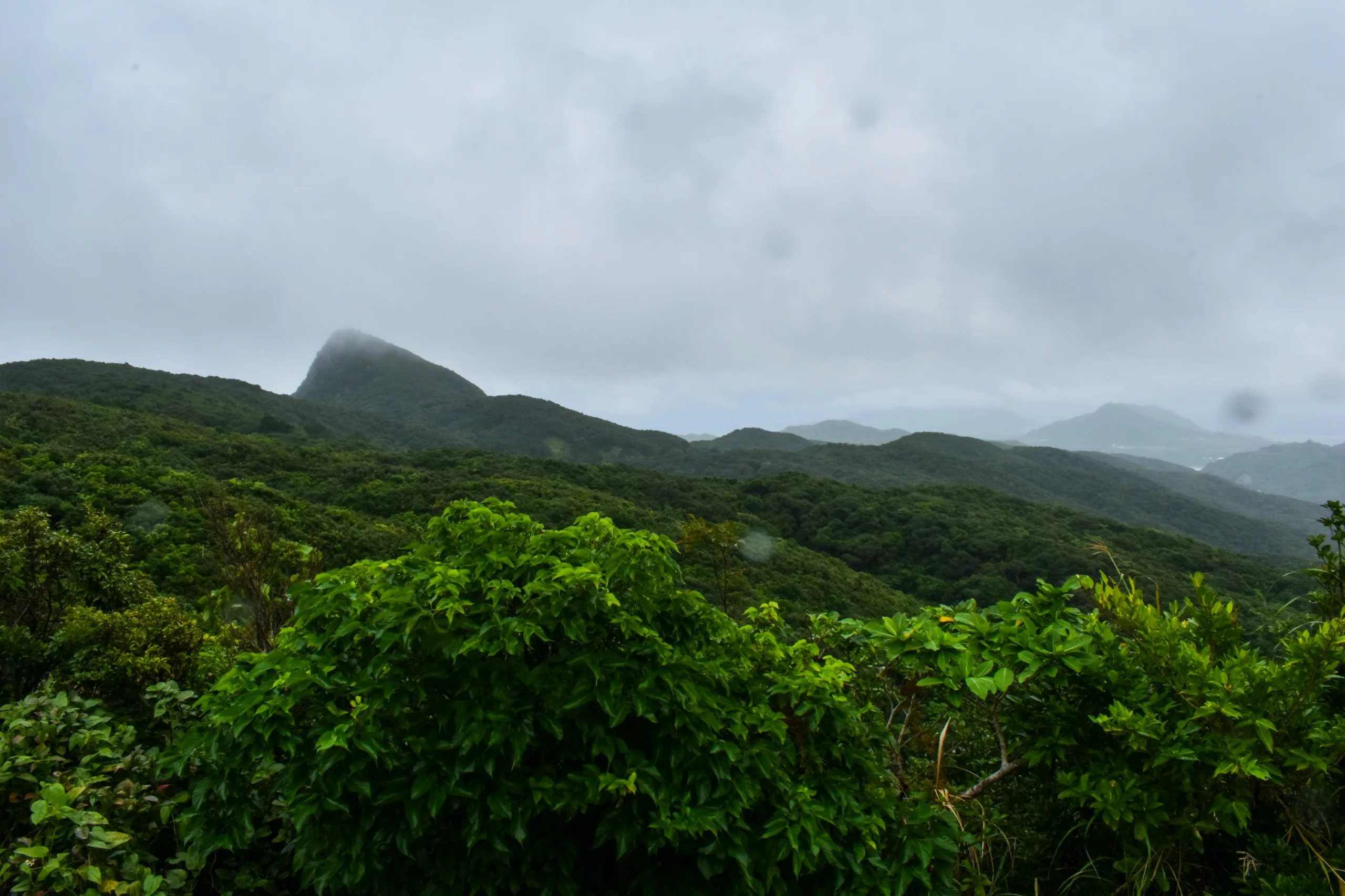 Une forêt verdoyante et dense, parsemée de collines ondulantes, sous un ciel nuageux et couvert. Au loin, un sommet isolé se détache à travers la brume.