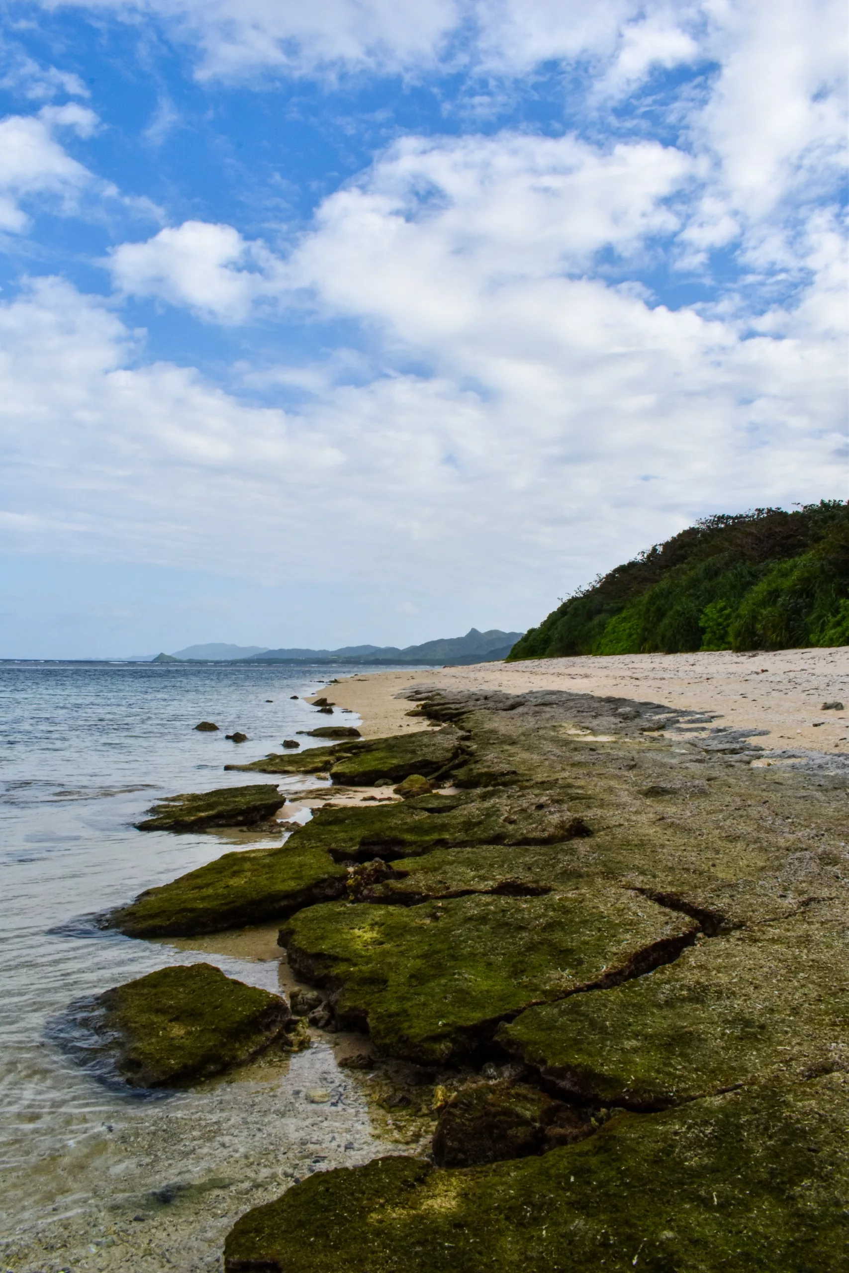Un littoral rocheux parsemé de taches de mousse verte mène à une plage de sable — l'endroit idéal pour ceux qui se demandent « que faire à Ishigaki ». La mer calme et la végétation luxuriante en font un lieu serein et pittoresque à découvrir.