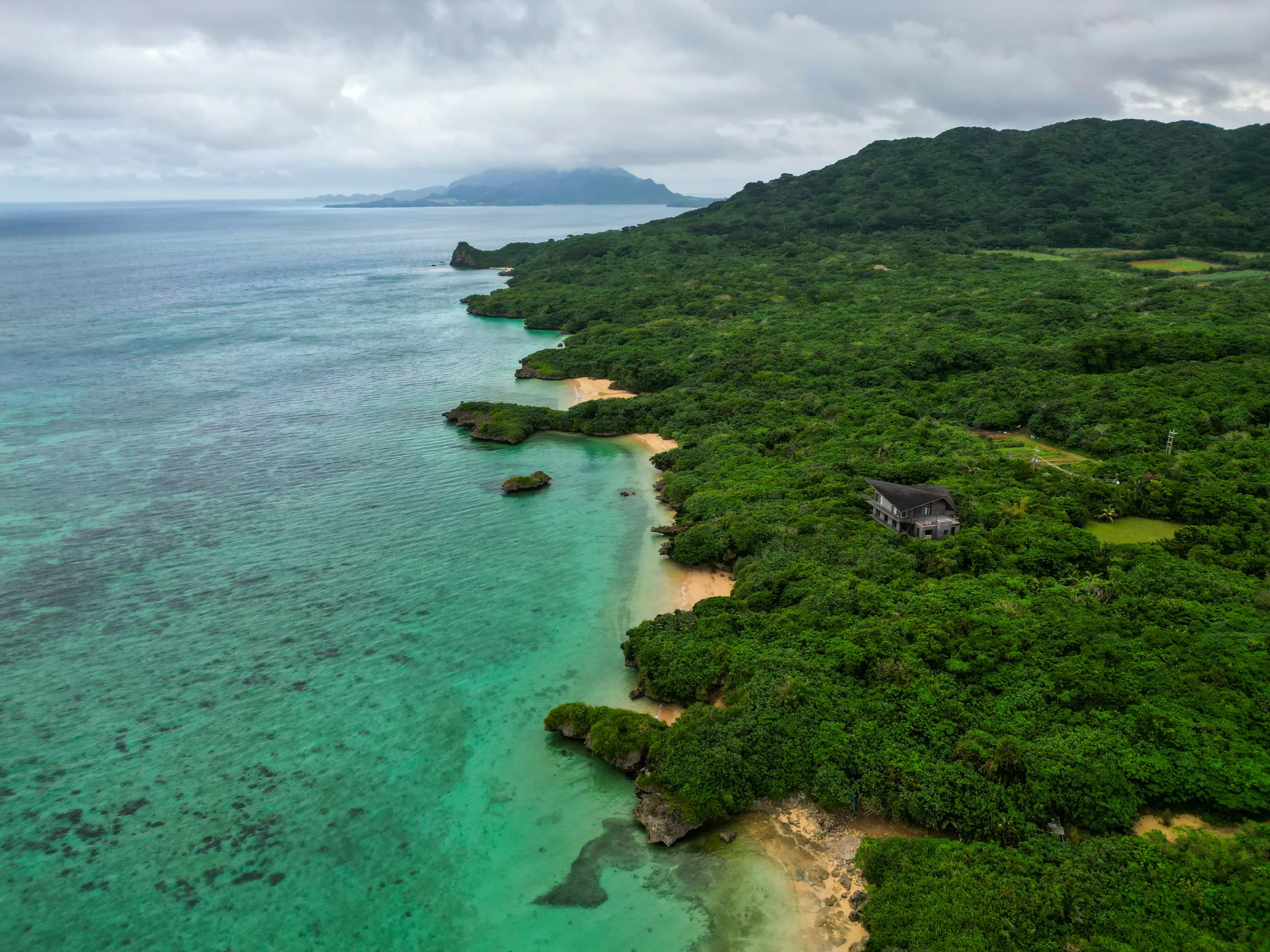 Vue aérienne d'un littoral verdoyant à Ishigaki, avec une forêt dense, des eaux turquoise cristallines, de petites plages de sable et un bâtiment isolé.
