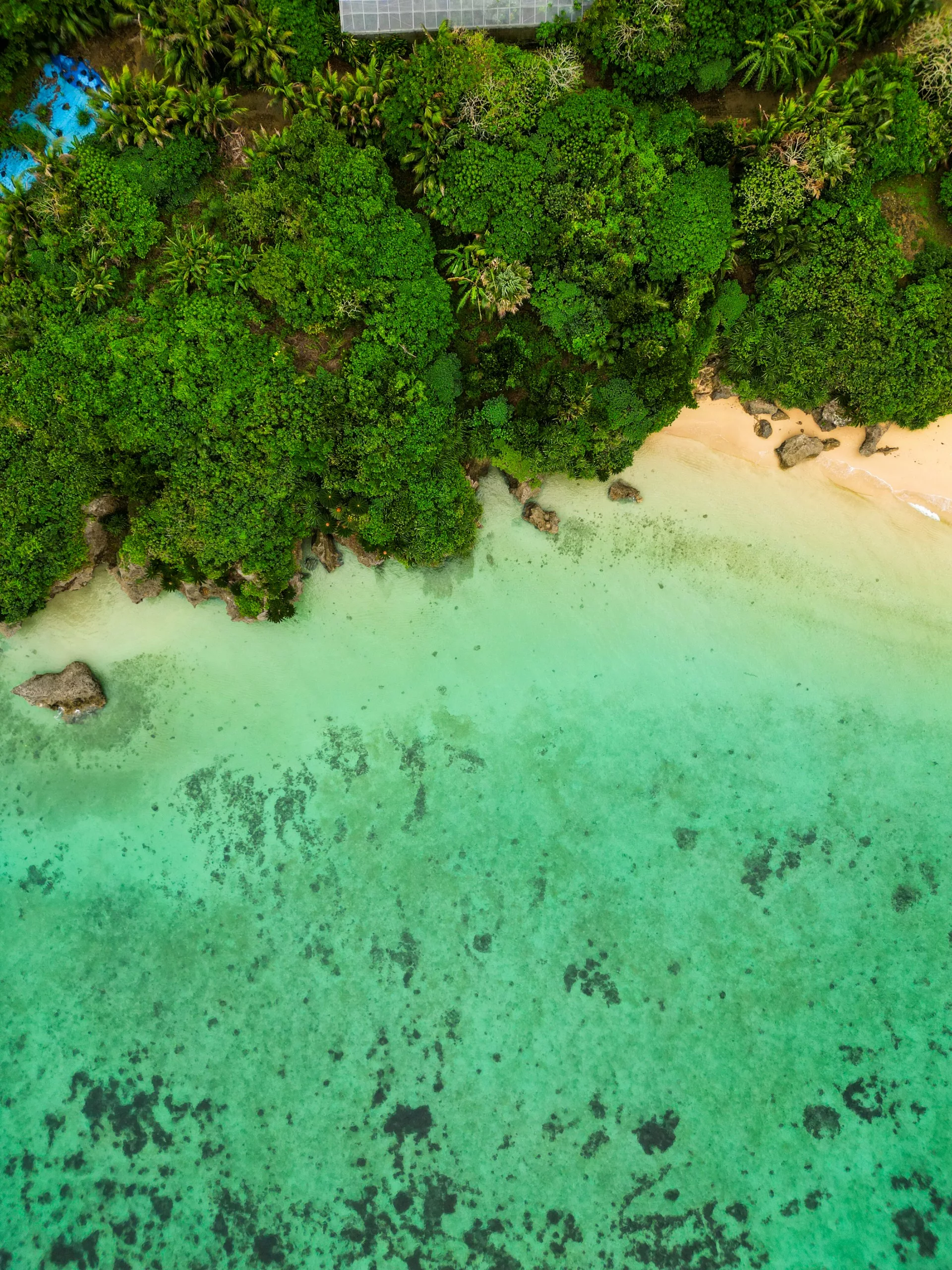 Vue aérienne d'un littoral d'Ishigaki, avec une végétation luxuriante, une plage de sable et une eau turquoise cristalline.