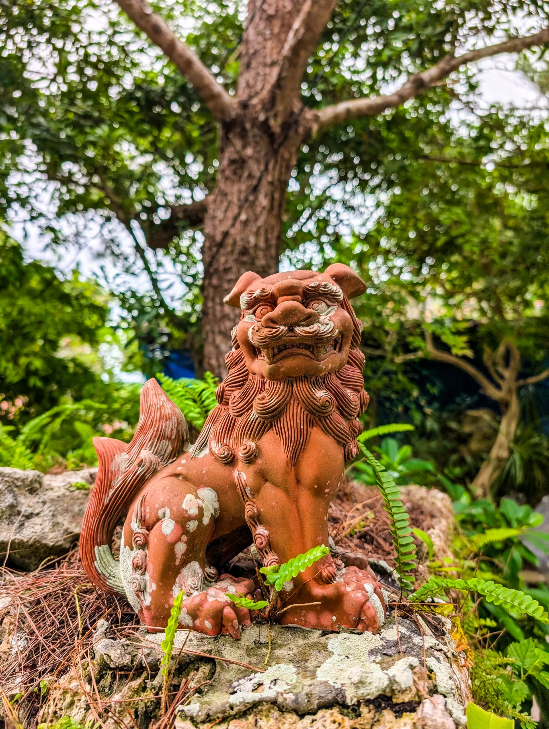 Une statue de shisa en terre cuite aux détails minutieux trône sur un rocher, entourée de fougères et de verdure