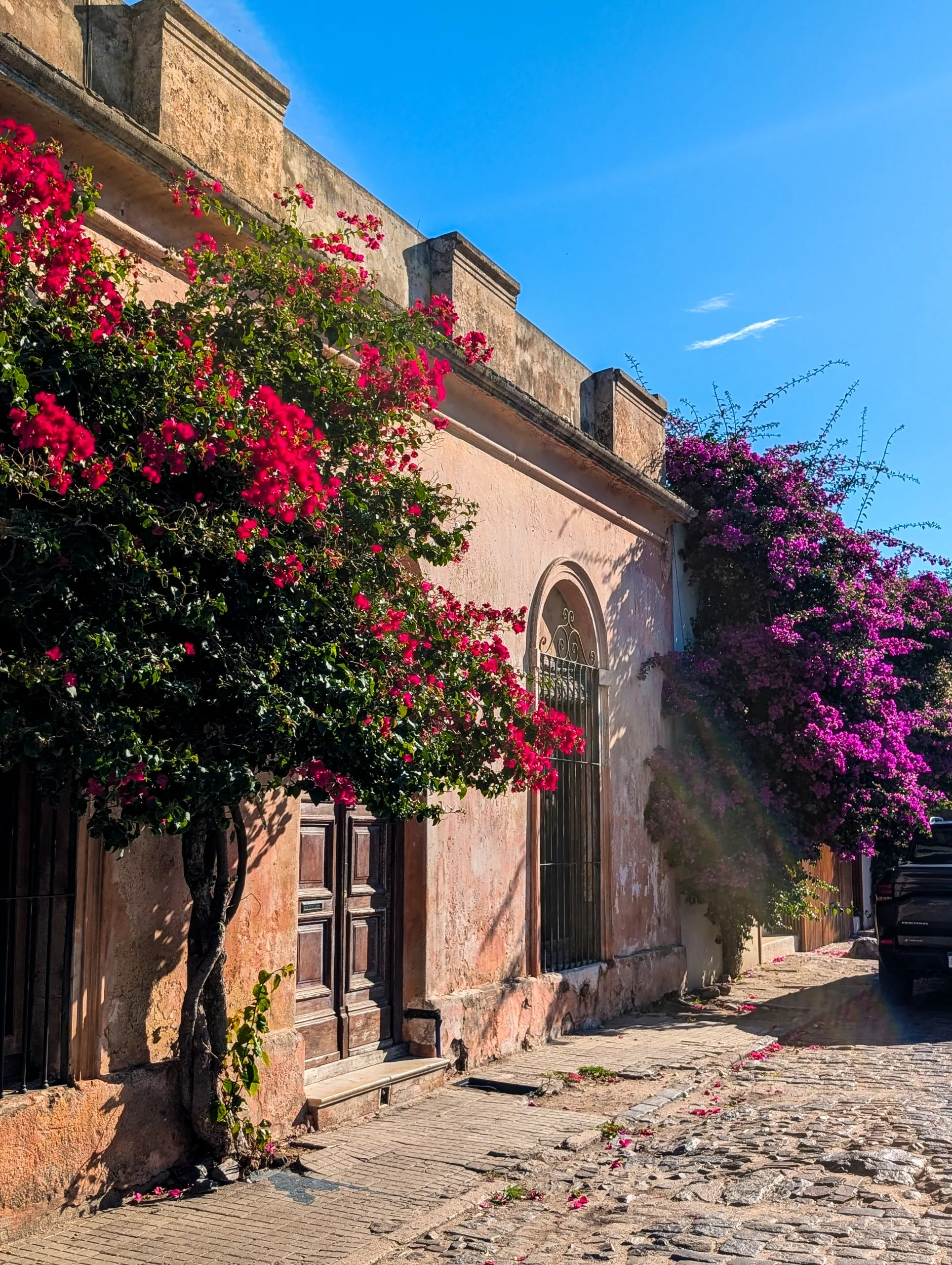 Dans une rue ensoleillée de Colonia del Sacramento, on aperçoit un bâtiment en stuc rose, avec une fenêtre cintrée, une porte en bois et des bougainvilliers aux couleurs vives. Le pavé et une voiture garée se détachent sous un ciel d'un bleu limpide.