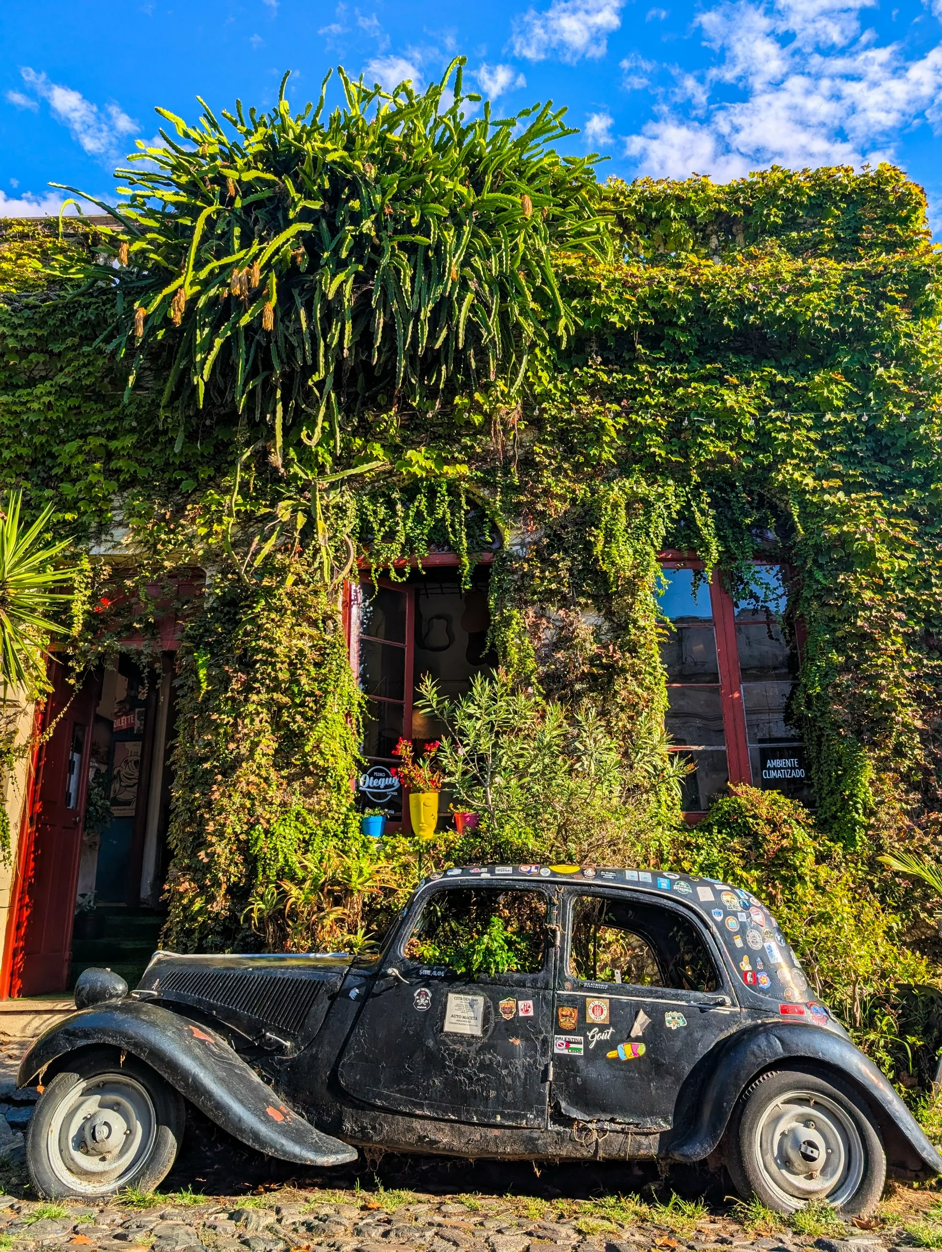 Une voiture de collection noire recouverte d'autocollants est garée sur les pavés de Colonia del Sacramento, devant un bâtiment envahi par la végétation, avec deux fenêtres aux encadrements rouges et un ciel bleu parsemé de nuages.