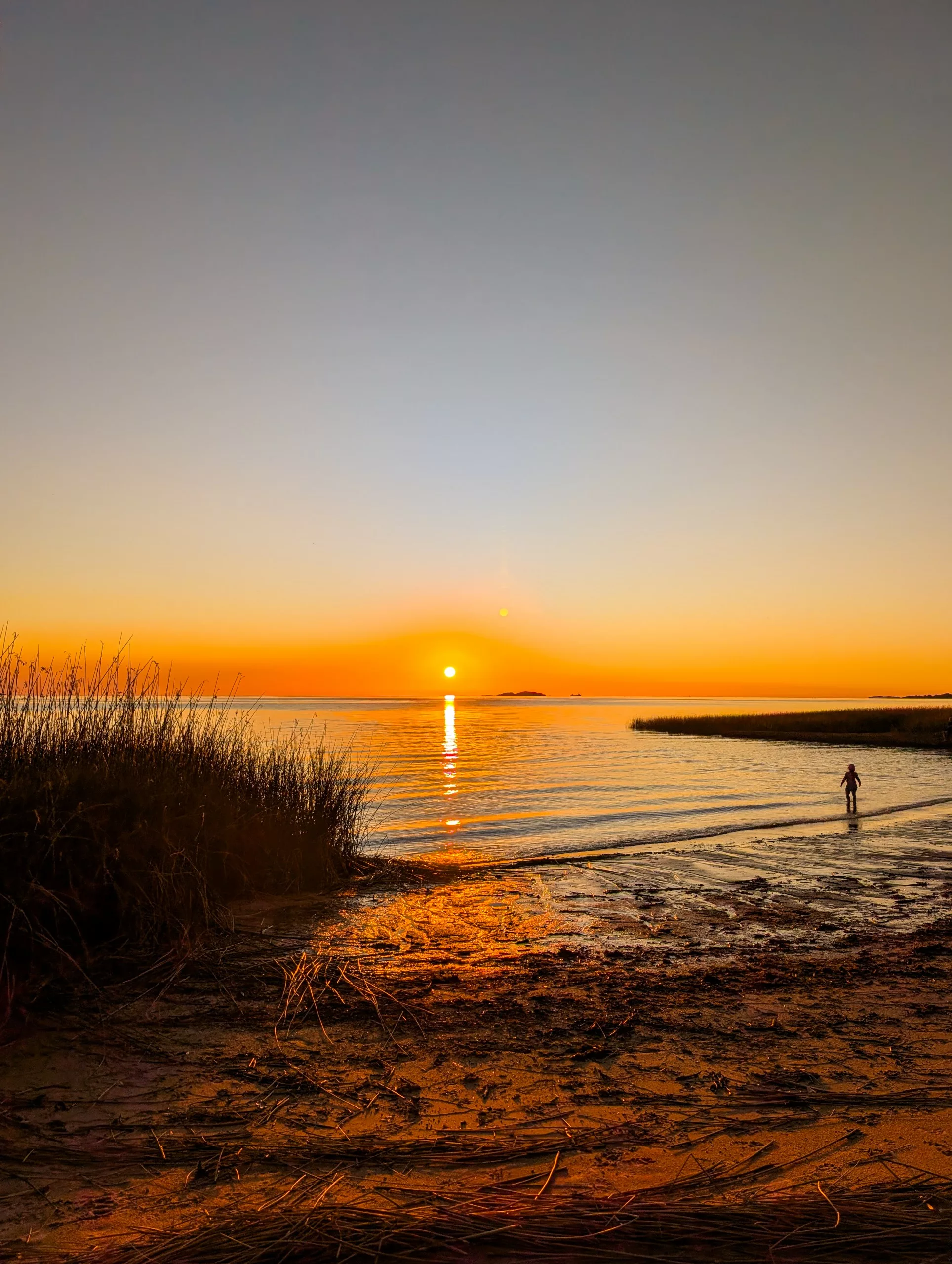 Une personne se tient au bord d'une étendue d'eau calme au coucher du soleil. Le ciel et l'eau reflètent des teintes orangées et jaunes. De hautes herbes bordent le côté gauche, tandis qu'au premier plan on aperçoit une plage de sable.