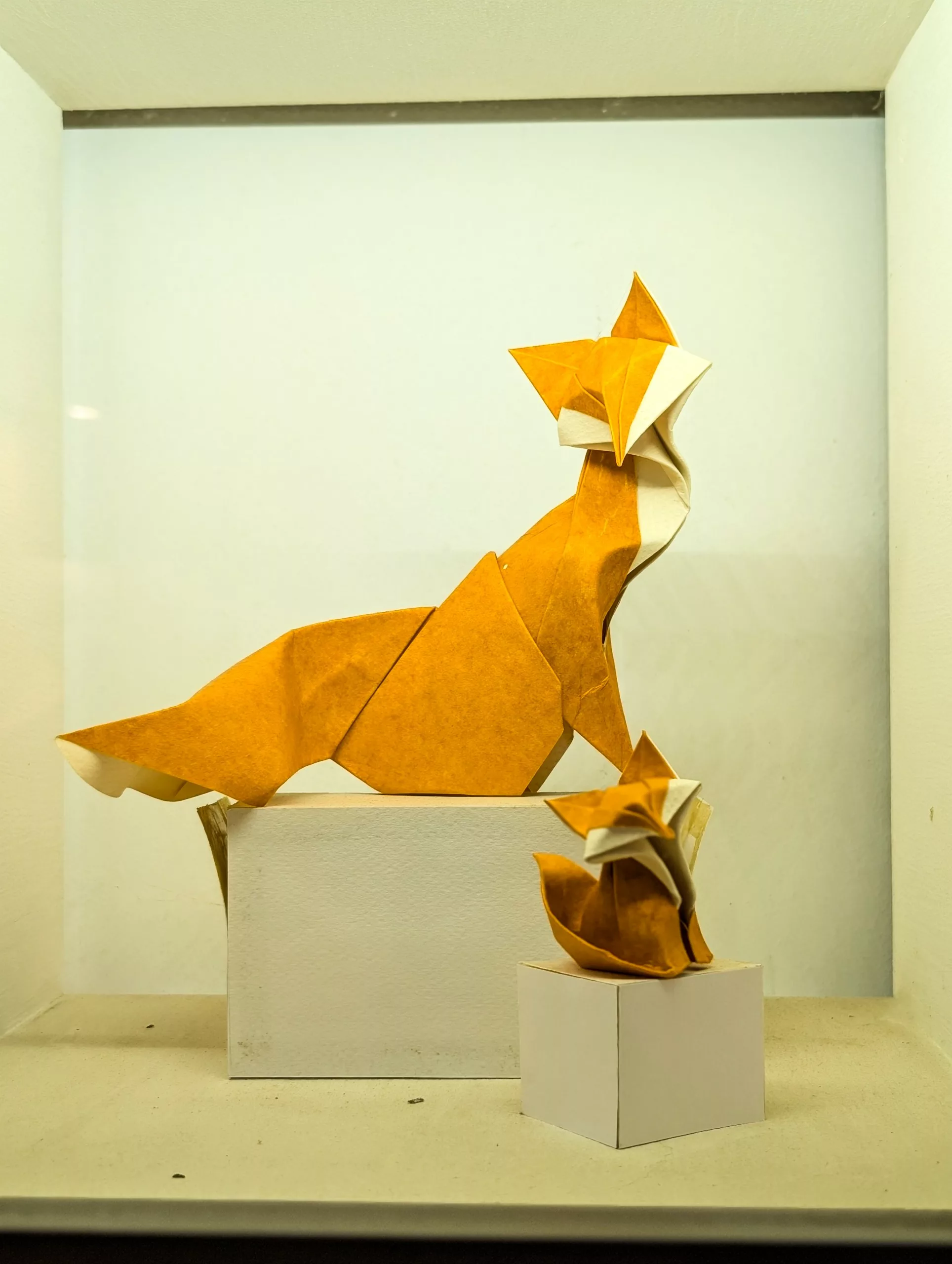 Un renard en origami fait de papier de teintes orangées, dans une vitrine
