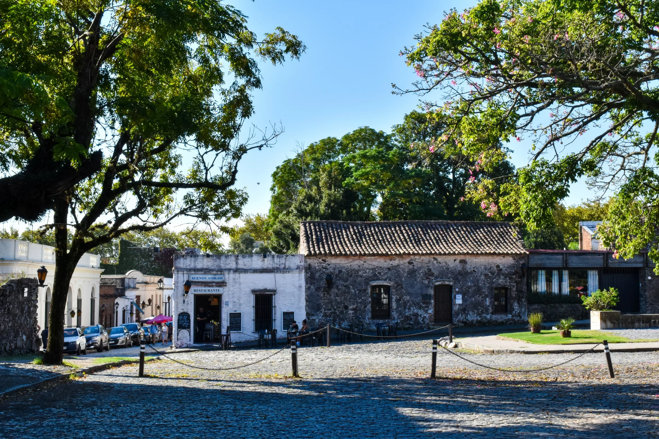 Une rue pavée de Colonia del Sacramento, bordée de vieux bâtiments en pierre, d'arbres feuillus et de voitures garées. La lumière du soleil filtre à travers les branches, projetant des ombres tachetées sur ce charmant décor.