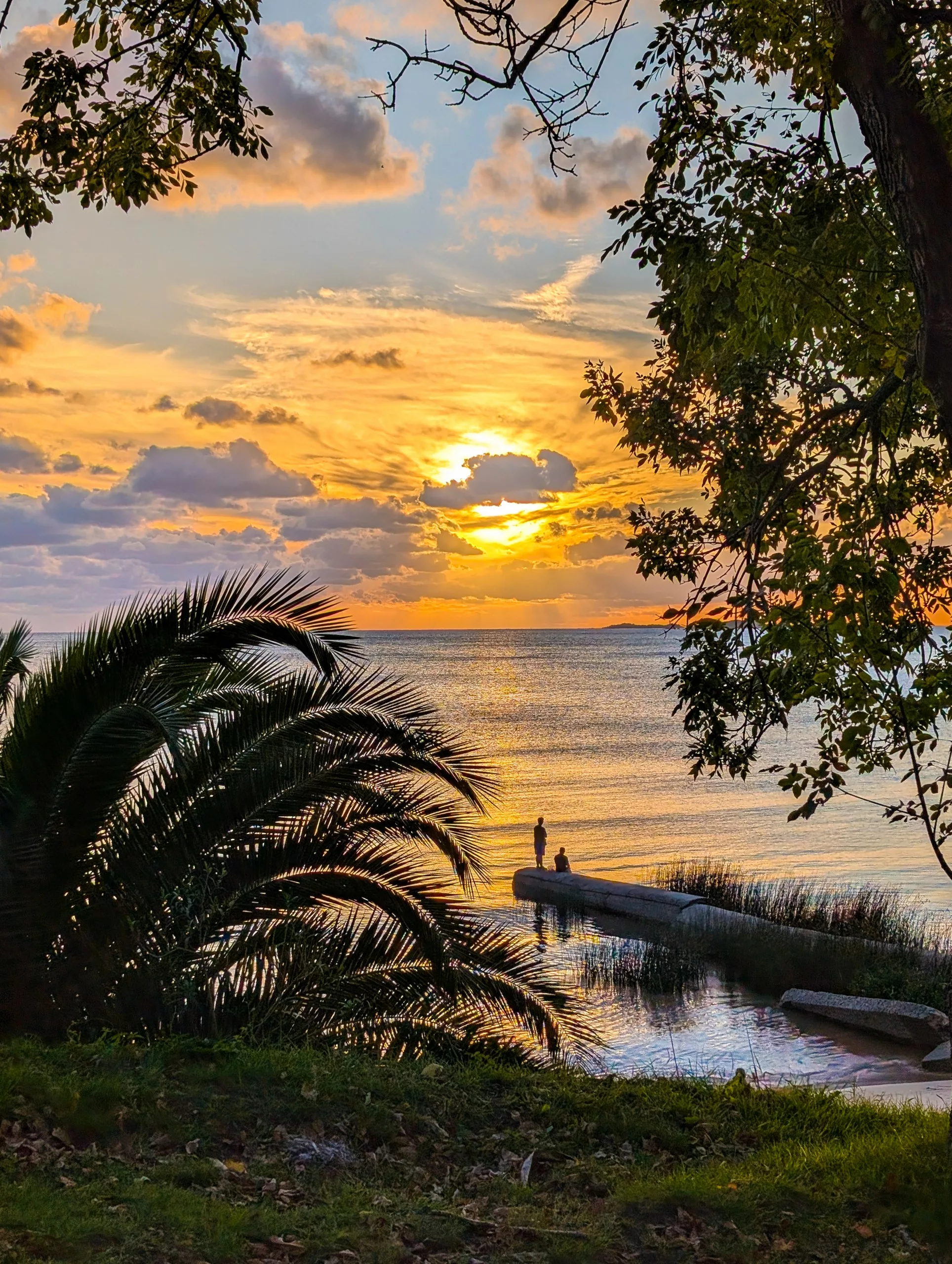 Deux personnes se tiennent sur une jetée étroite à Colonia del Sacramento au coucher du soleil, avec en toile de fond des feuilles de palmier et des branches d'arbres. Des nuages orange et jaunes se reflètent sur la surface paisible.