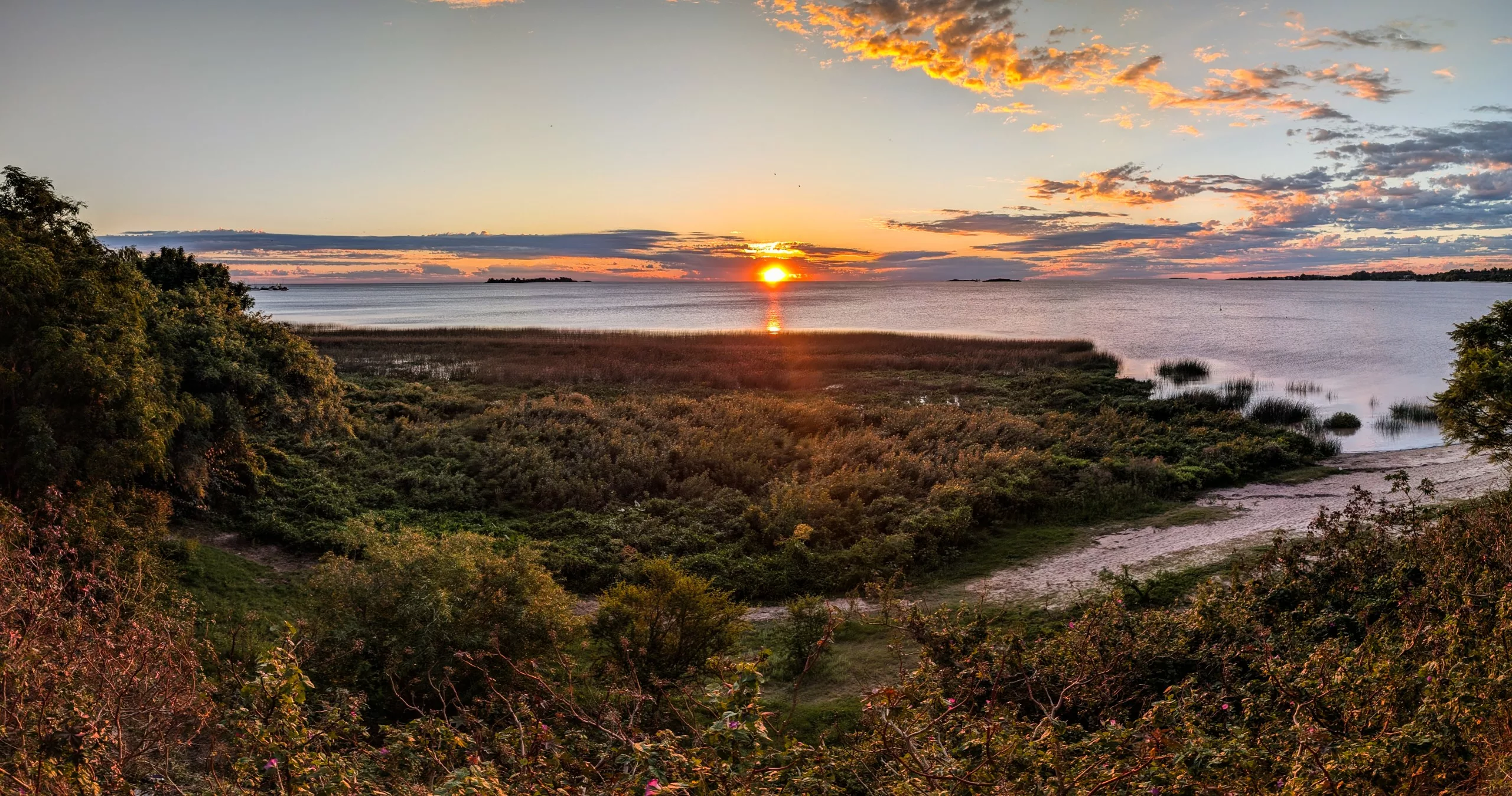 Le soleil se couche sur l'océan calme près de Colonia del Sacramento, avec des nuages épars, de hautes herbes, une végétation verdoyante au premier plan, des arbres à gauche et un ciel aux teintes orange, jaunes et bleues.