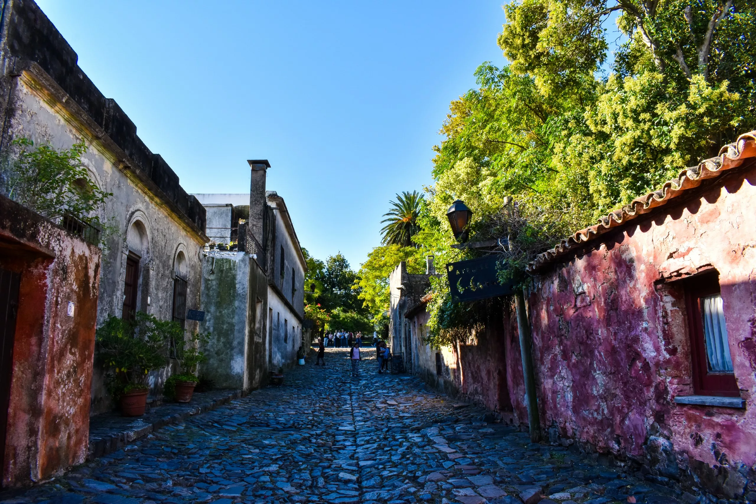 Une rue pavée de Colonia del Sacramento, bordée de part et d'autre de vieux bâtiments patinés par le temps, d'arbres et de verdure, sous un ciel bleu limpide.