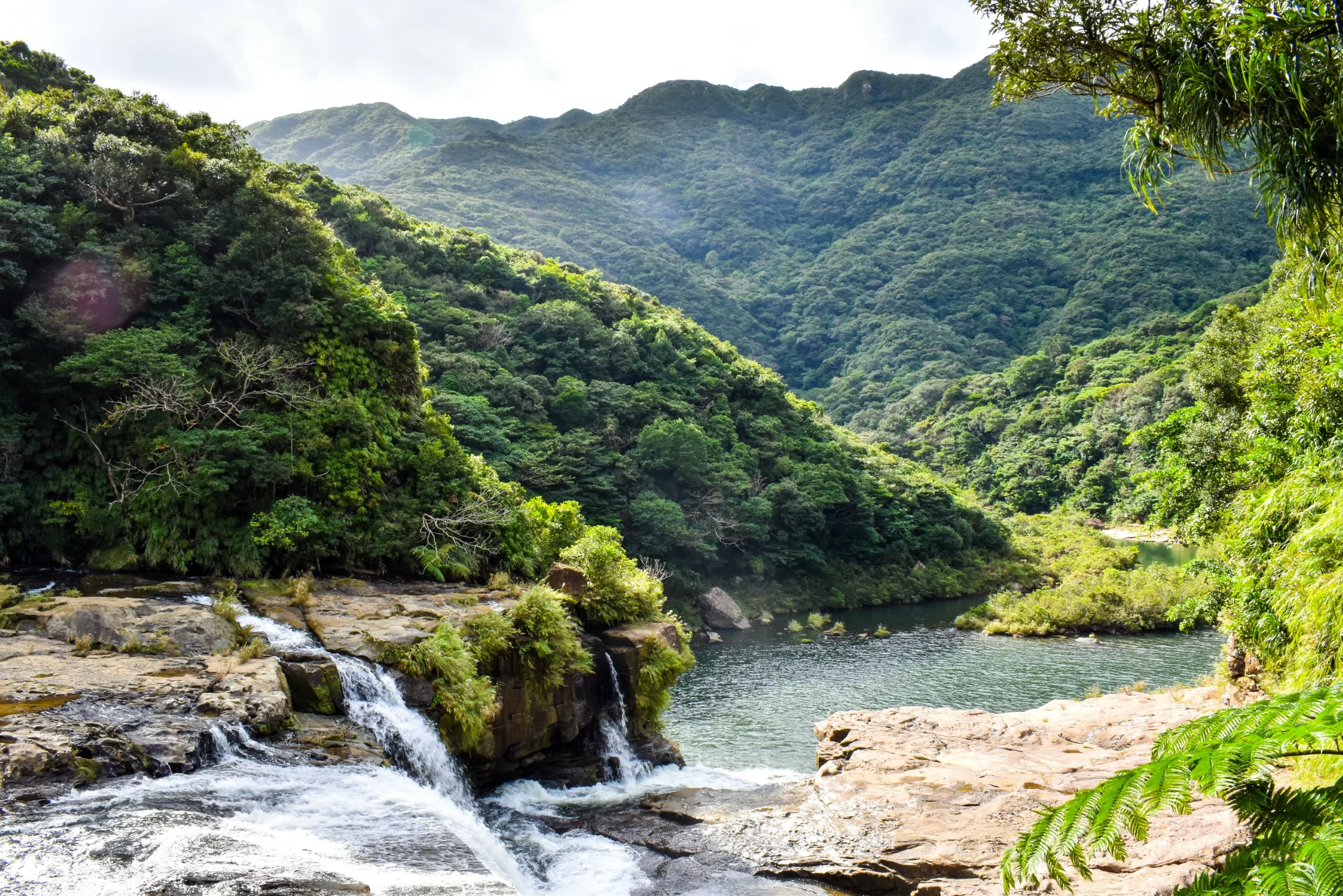 Une petite cascade se jette dans une rivière aux eaux limpides sur l'île d'Iriomote, au milieu d'une forêt verdoyante et d'une campagne vallonnée, sous un ciel nuageux. Les rayons du soleil mettent en valeur la végétation luxuriante de ce paysage aux couleurs éclatantes.