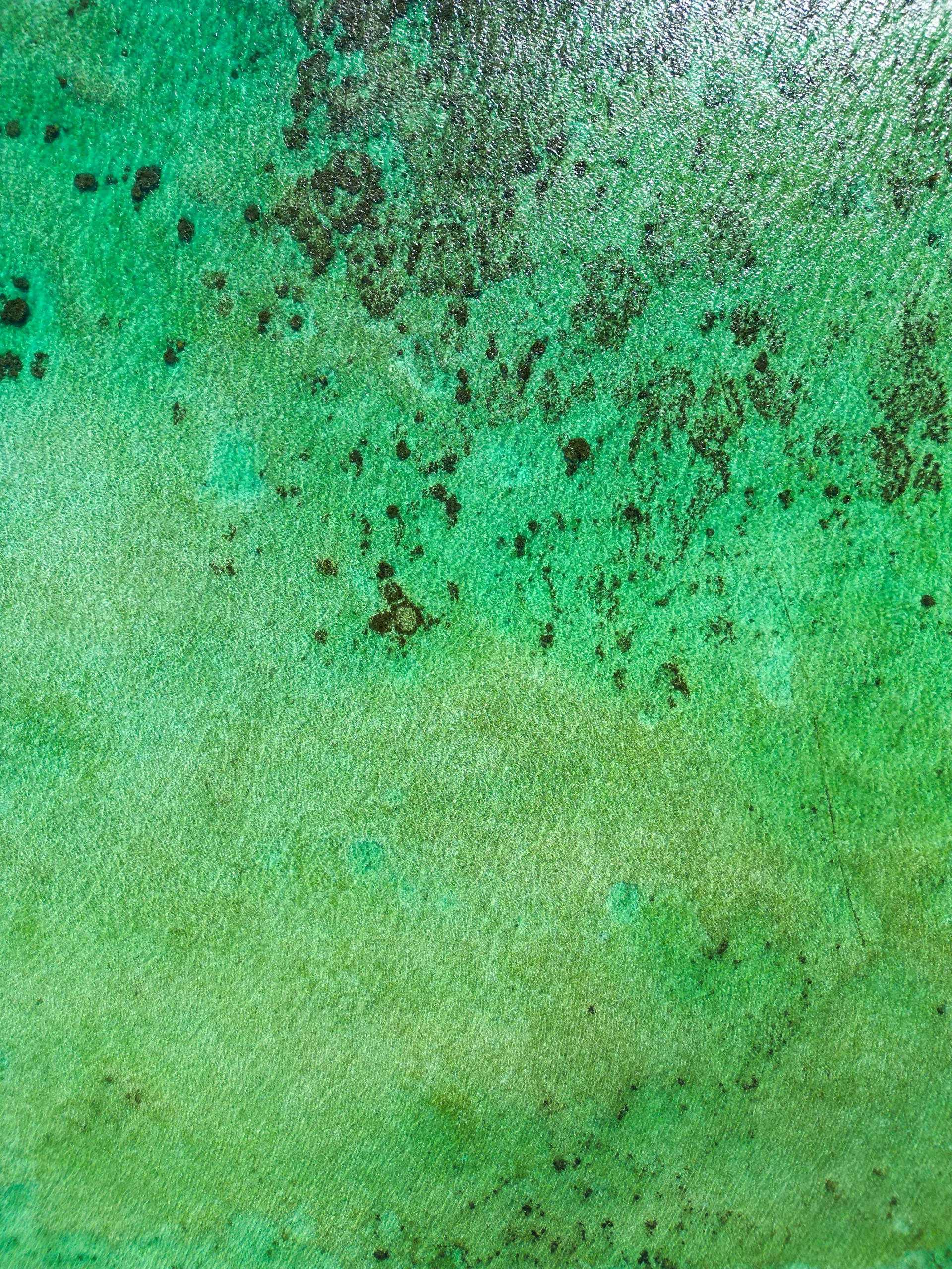 Vue aérienne des eaux turquoise cristallines au large d'Iriomote, où les taches sombres de la végétation sous-marine créent un magnifique motif marbré à la surface.