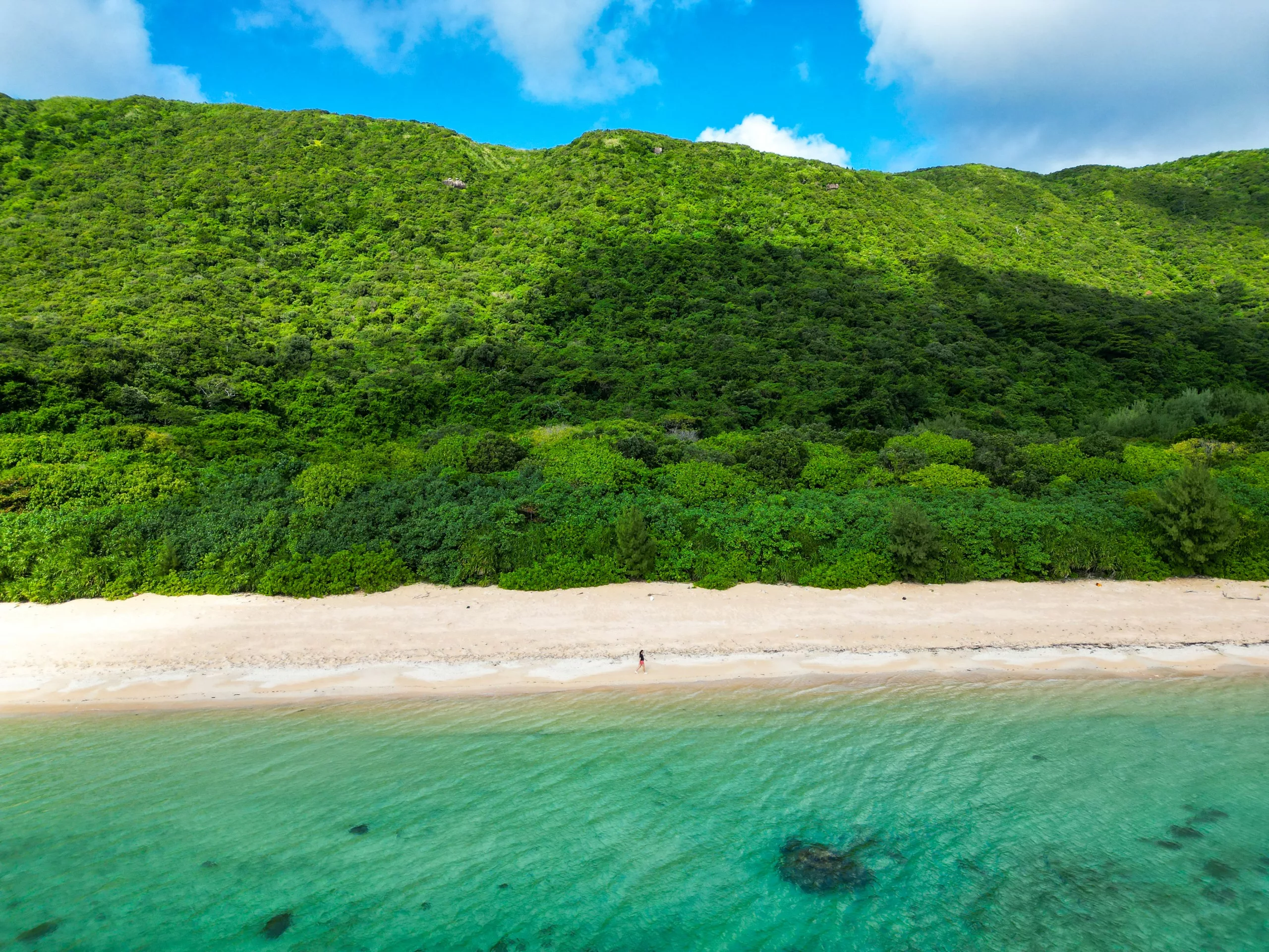 Vue aérienne d'une plage de sable d'Iriomote où marche une personne, avec au premier plan des eaux turquoise cristallines et, à l'arrière-plan, une forêt verdoyante et dense recouvrant une colline.