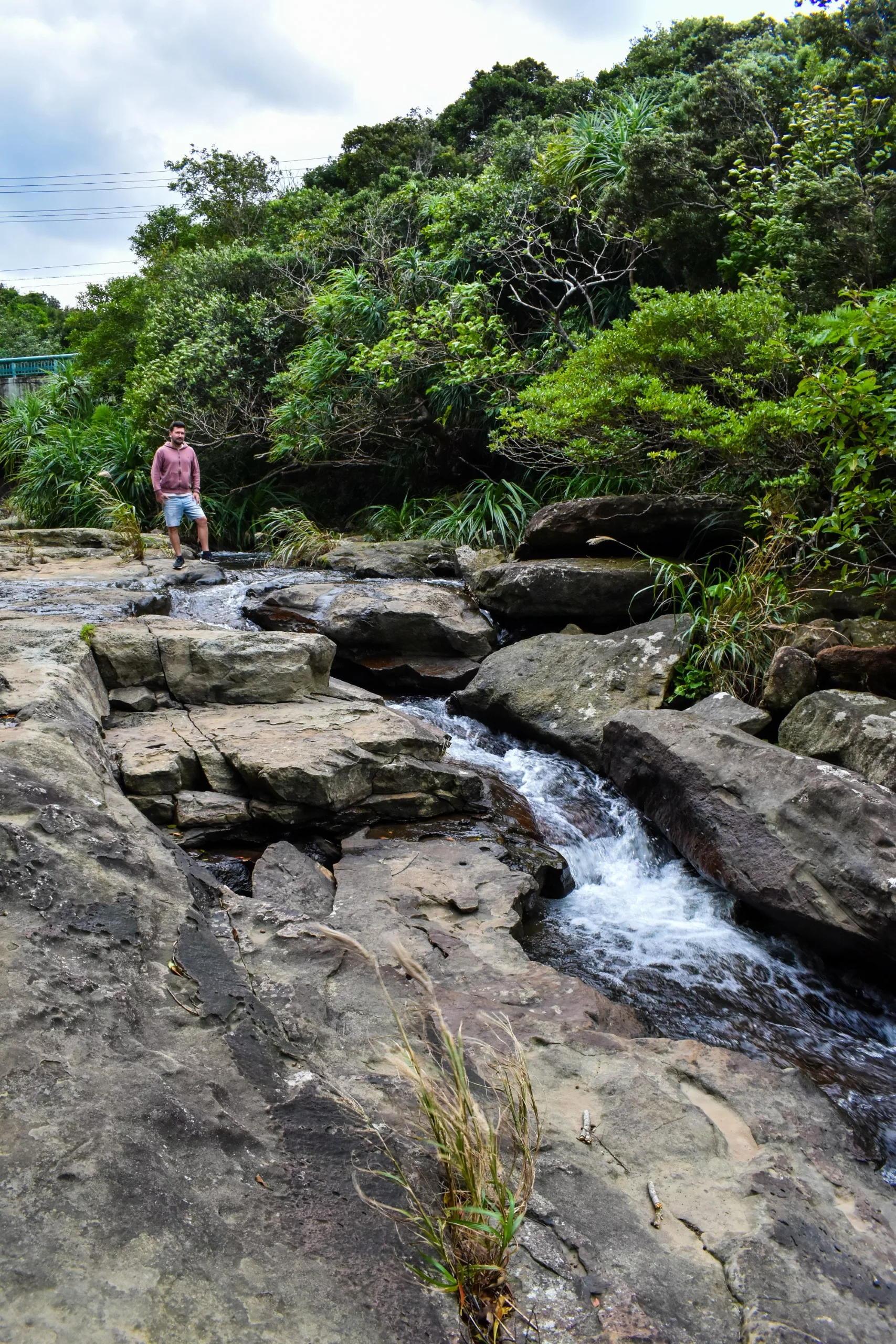 Sous un ciel nuageux, une personne se tient debout sur des rochers au bord d'un petit ruisseau, dans les contrées sauvages, rocheuses et boisées d'Iriomote.