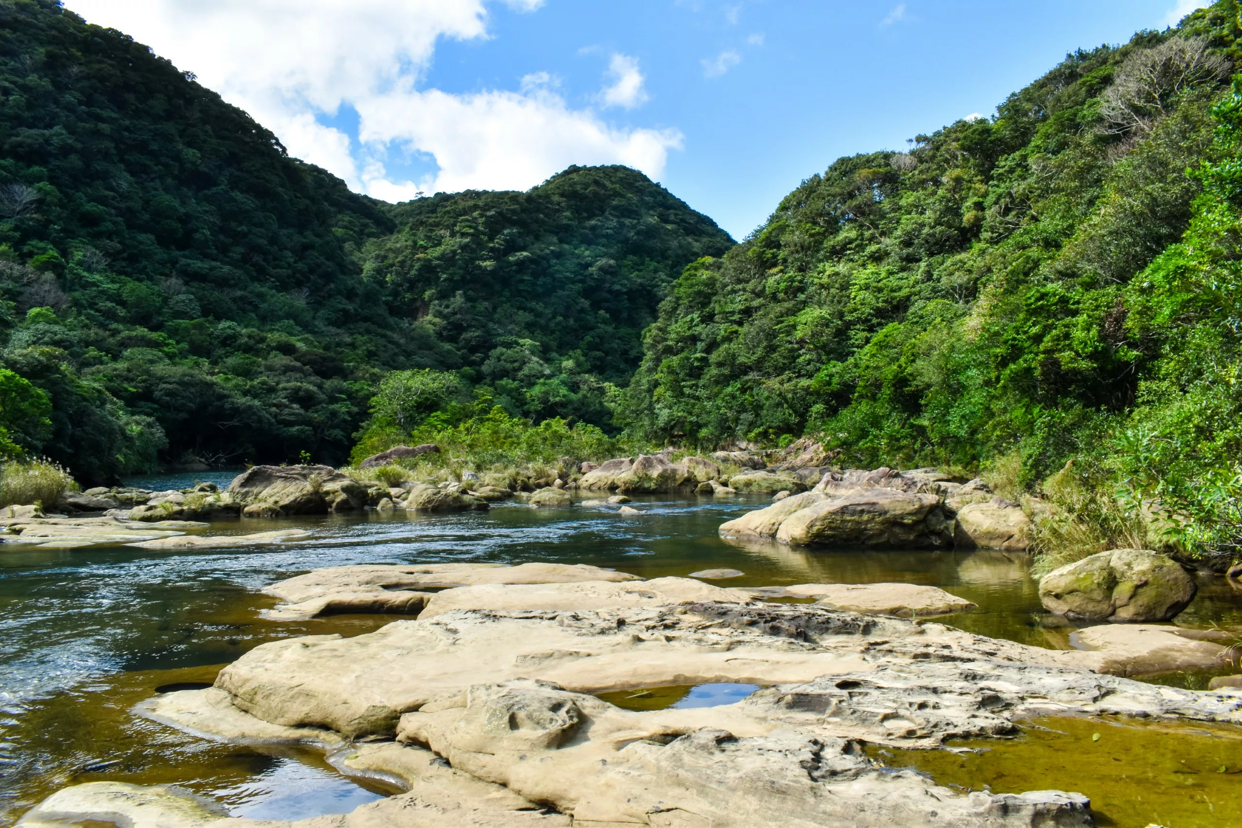 Une rivière peu profonde aux eaux limpides coule sur de gros rochers, au milieu d'une forêt verdoyante et dense et de collines, sous un ciel partiellement nuageux.