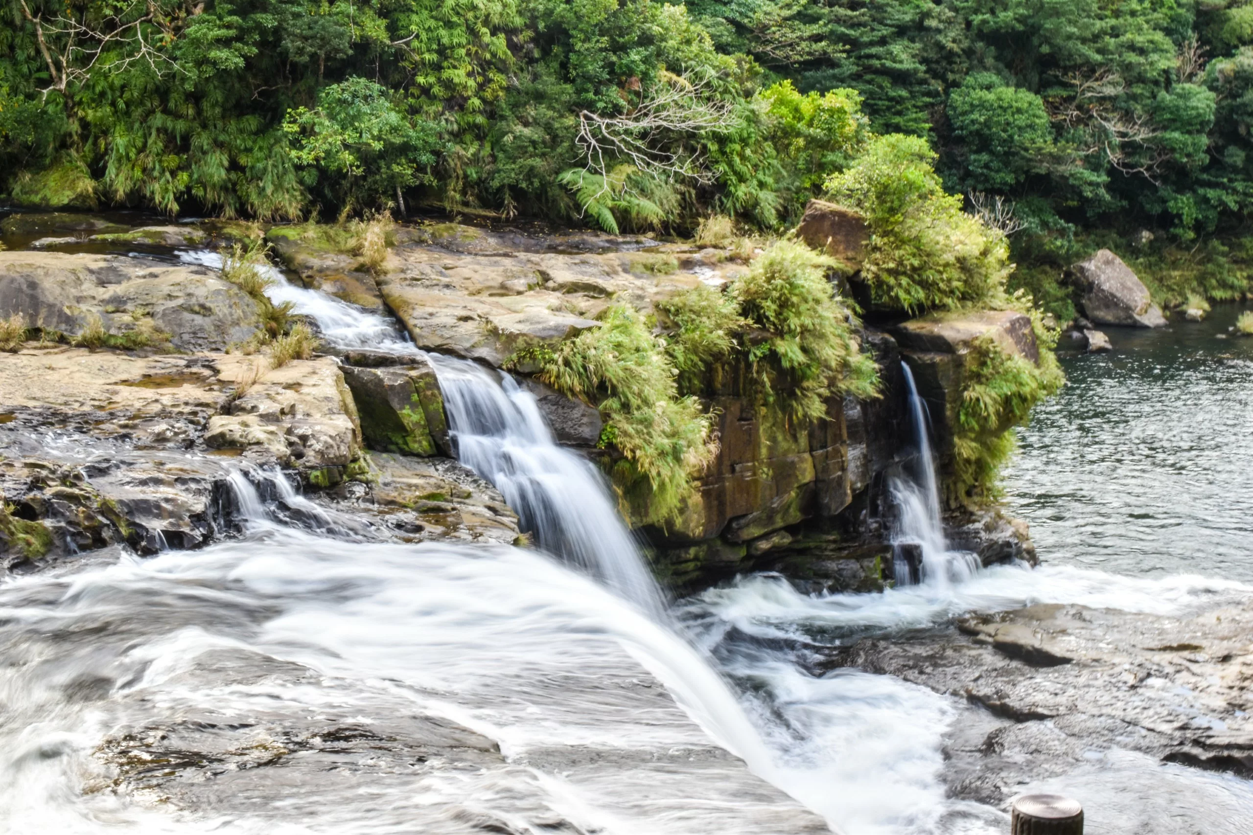 Sur l'île d'Iriomote, une petite cascade dévale un terrain rocheux pour se jeter dans une rivière paisible, au milieu d'une végétation luxuriante et de rochers recouverts de mousse.
