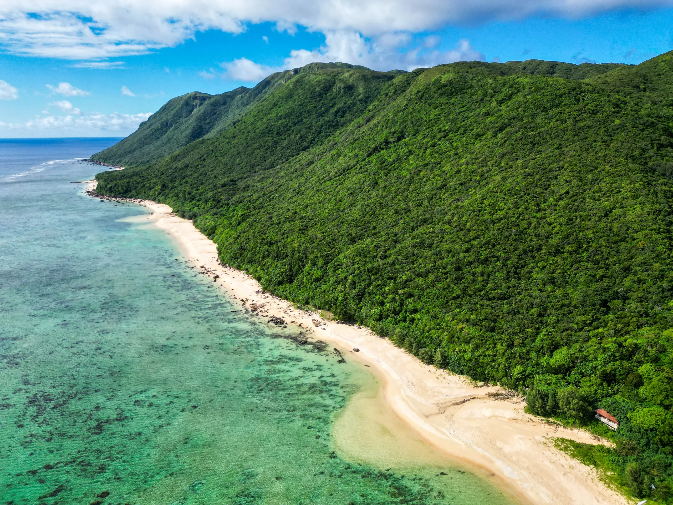 Vue aérienne du littoral d'Iriomote, avec ses eaux turquoise cristallines, sa plage de sable et sa forêt verdoyante et dense recouvrant des collines escarpées