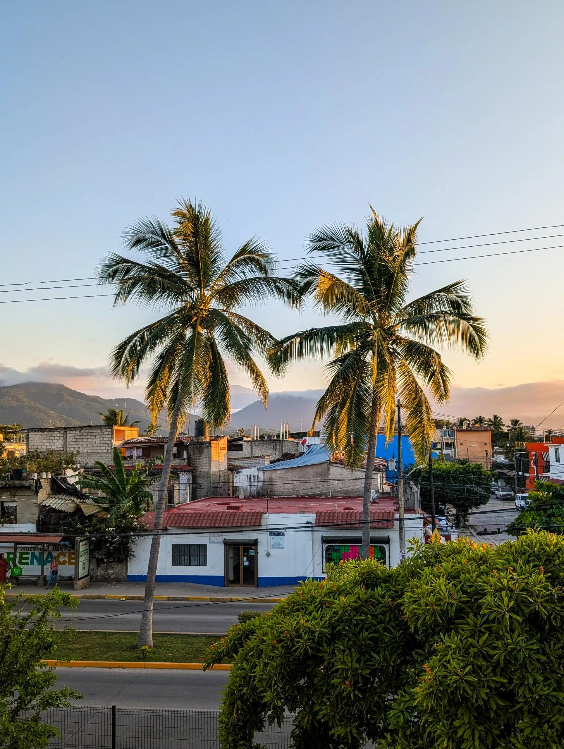Au coucher du soleil à Puerto Vallarta, deux grands palmiers encadrent de petits bâtiments colorés. On voit une végétation verdoyante et des montagnes au loin.