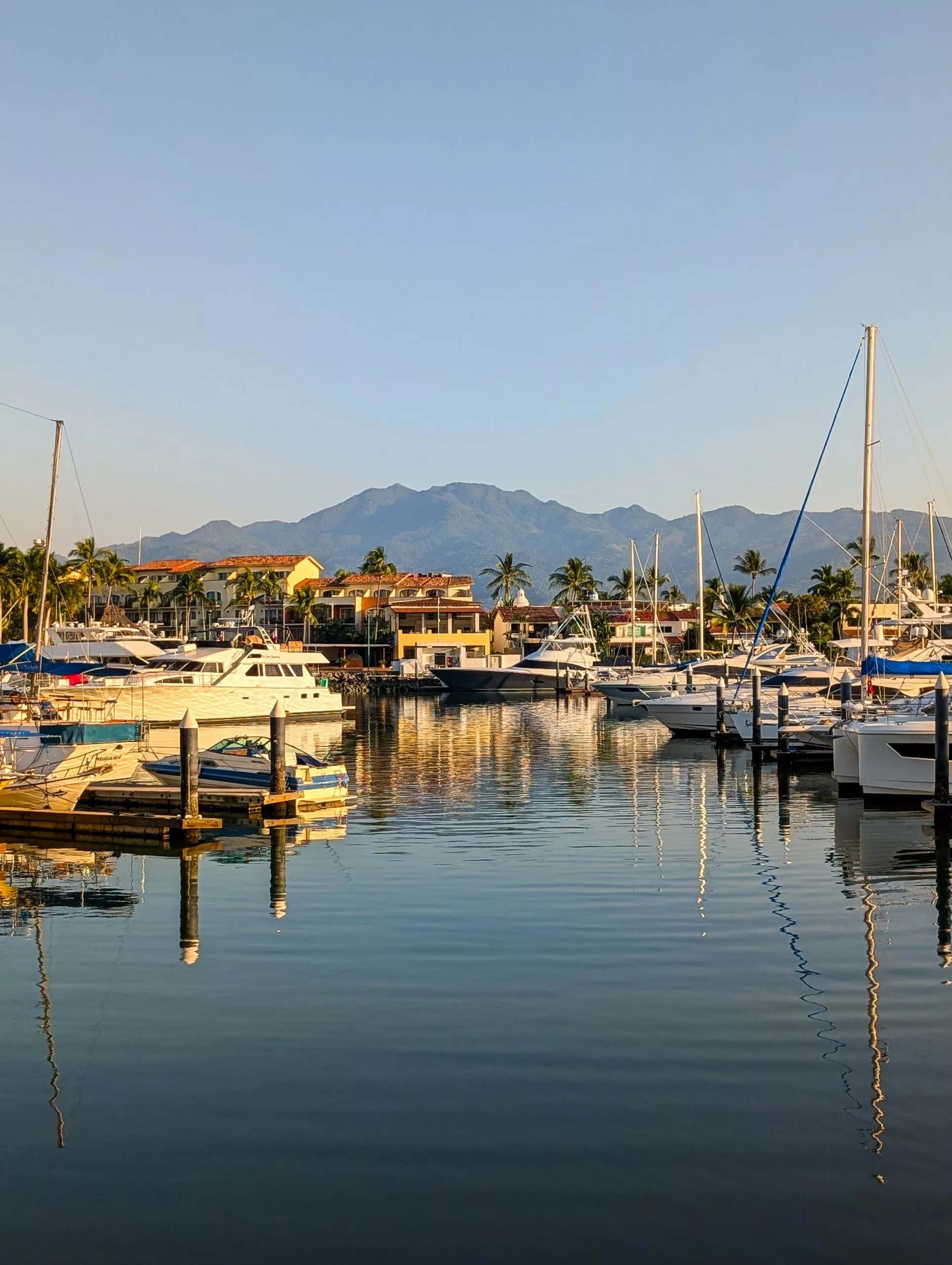 Une marina paisible et ensoleillée de Puerto Vallarta, avec ses yachts et ses bateaux amarrés, ses rives bordées de palmiers et sa vue sur les montagnes