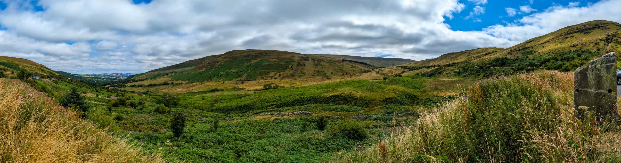 Panorama sur un paysage verdoyant dans les Brecon Beacons