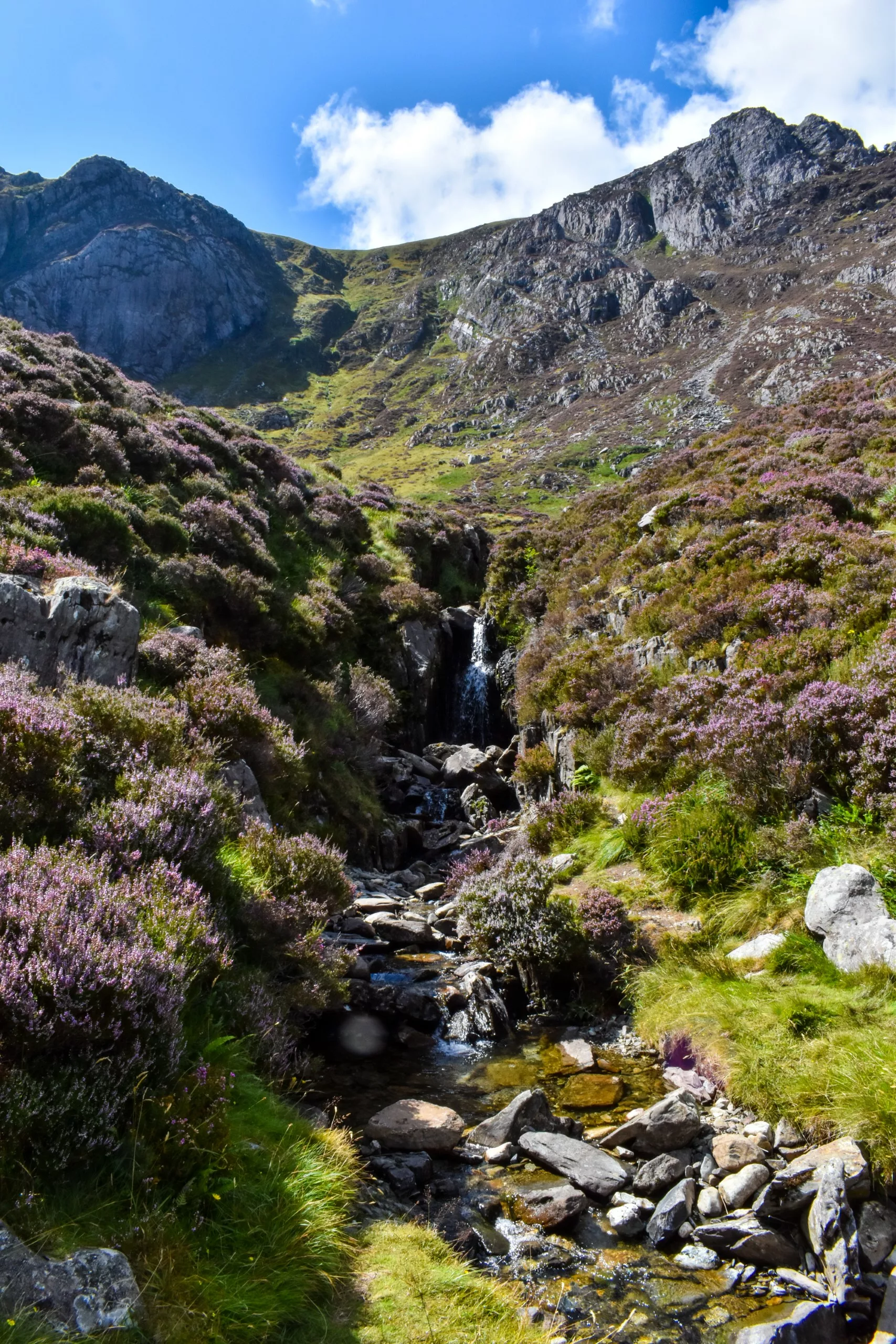 Une petite cascade dévale le versant rocheux d'une montagne au Pays de Galles, au milieu de touffes de bruyère violette sur la randonnée Cwm Ydwal