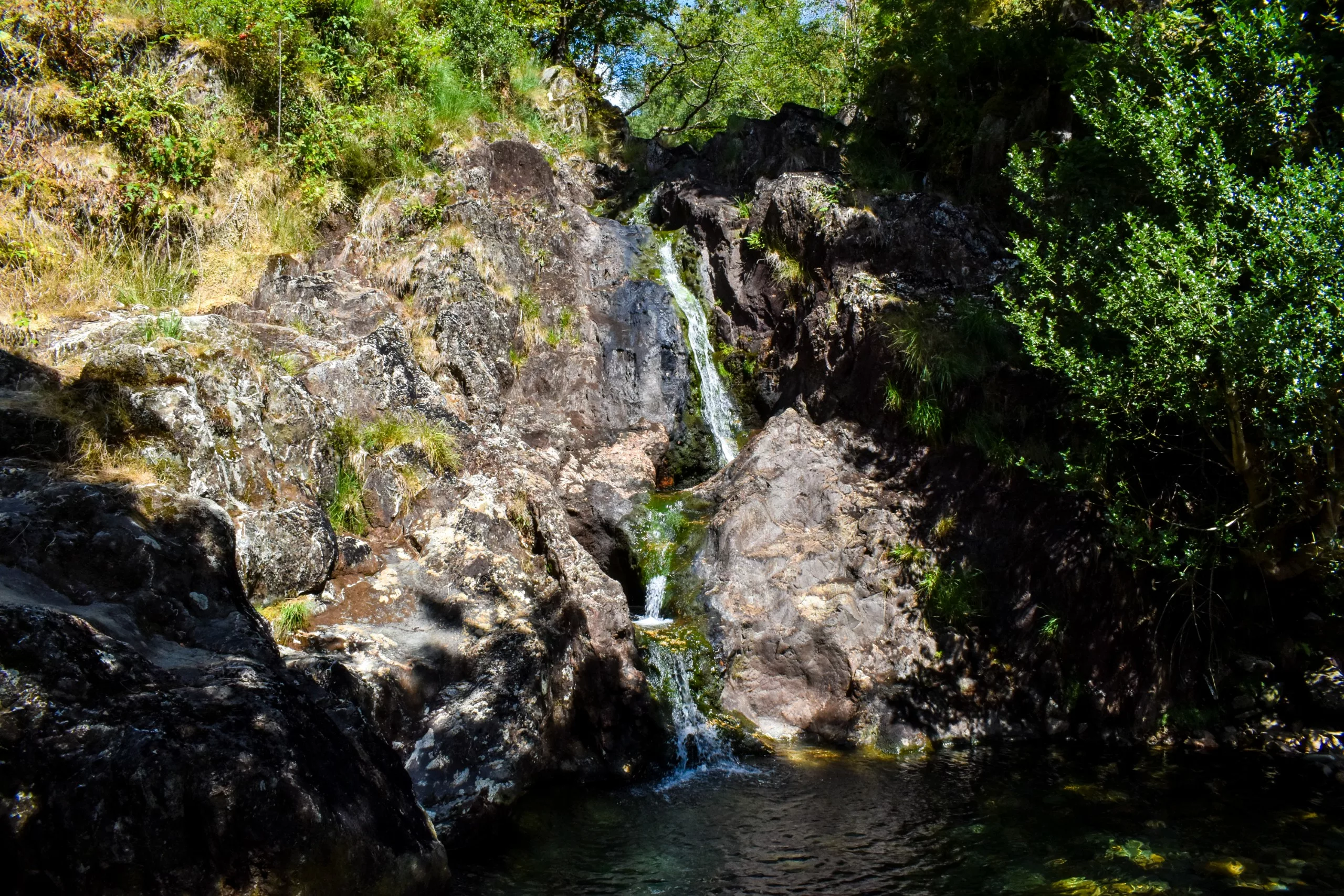 Une petite cascade dévale une falaise rocheuse pour se jeter dans un bassin sombre entouré d'arbres verdoyants