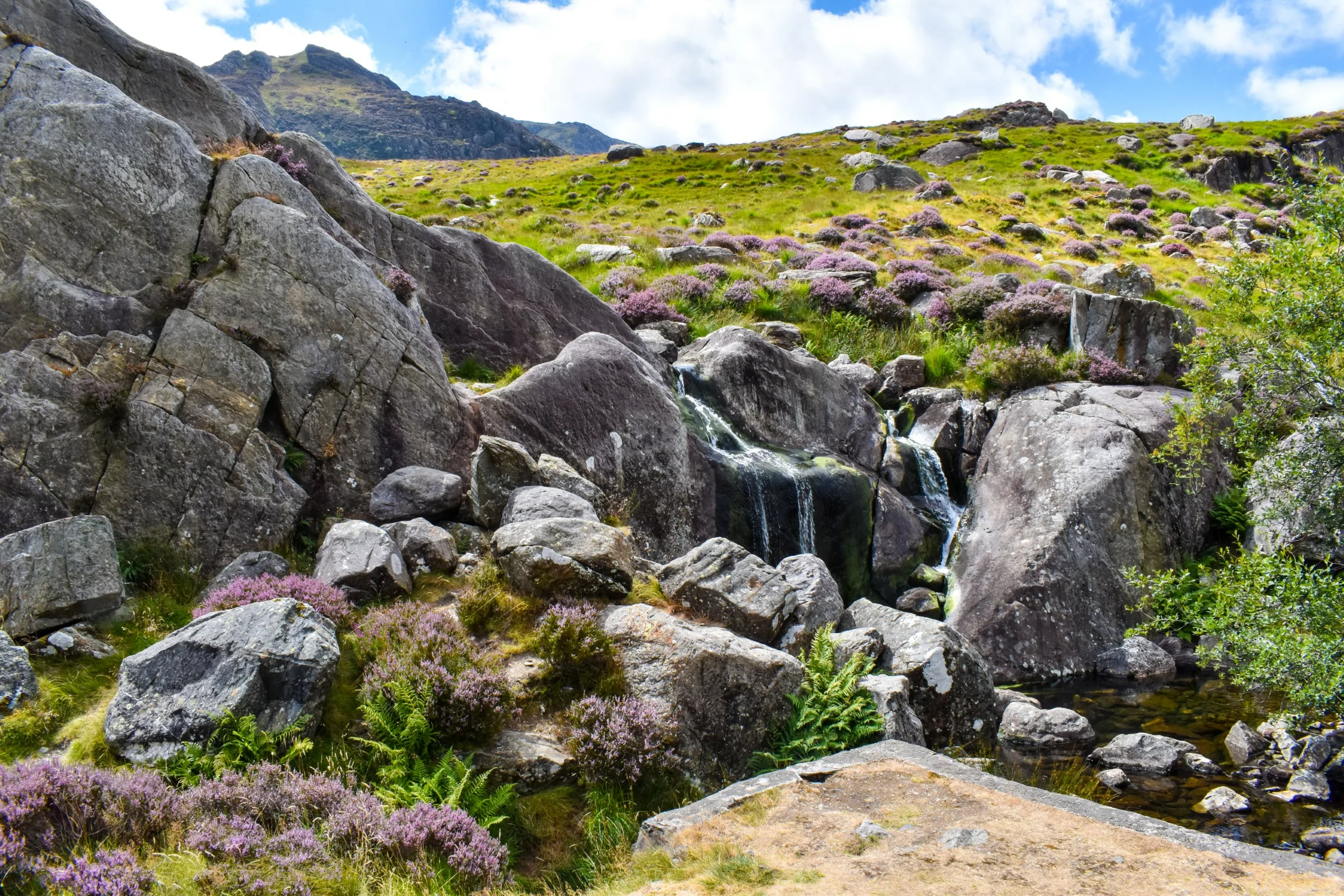 Une petite cascade dévale de gros rochers gris pour se jeter dans un ruisseau, au cœur d'un paysage vallonné recouvert de bruyère violette