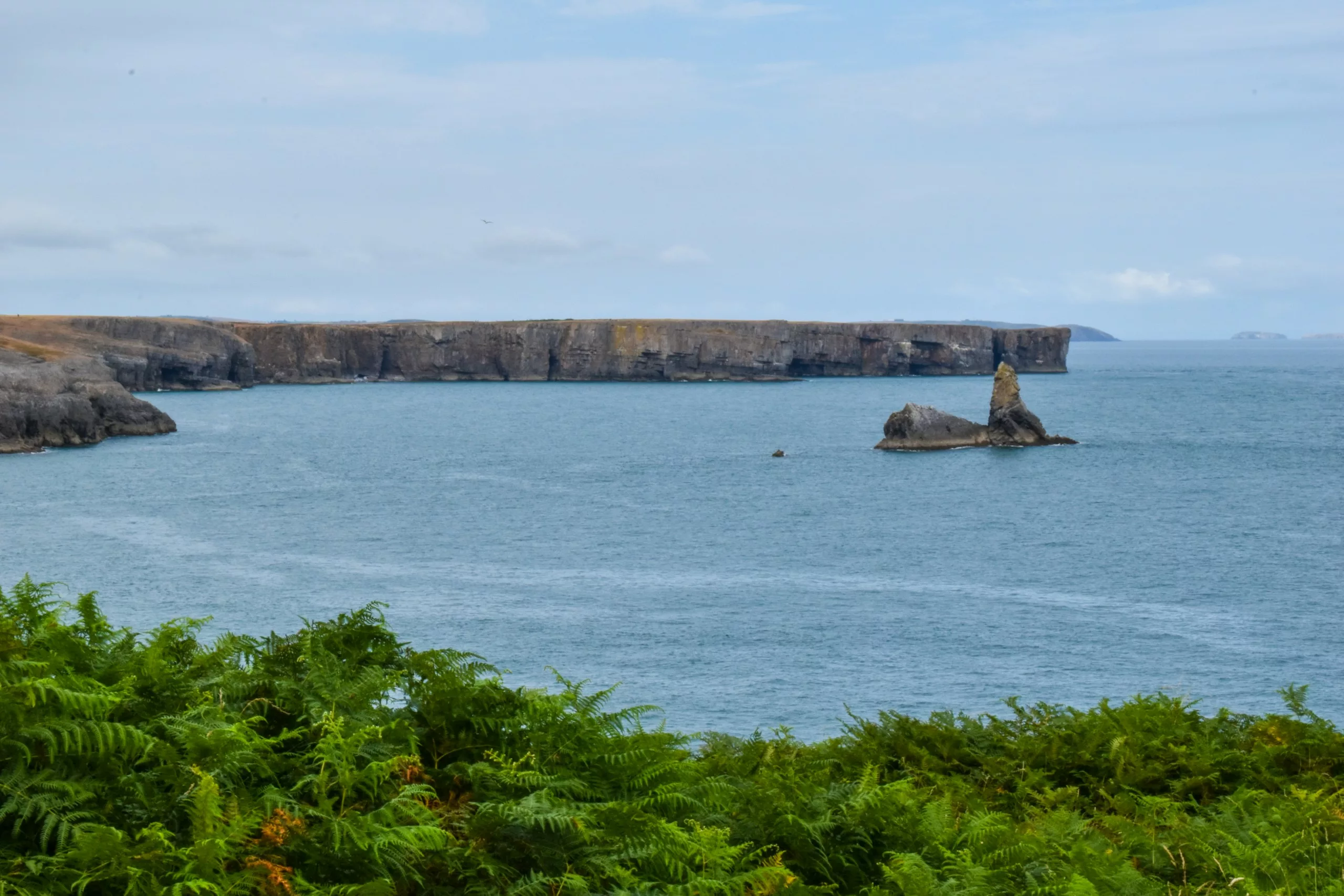 Un pilier rocheux émerge de l'eau face à une longue côte escarpée au sommet plat, avec en premier plan des fougères vertes.