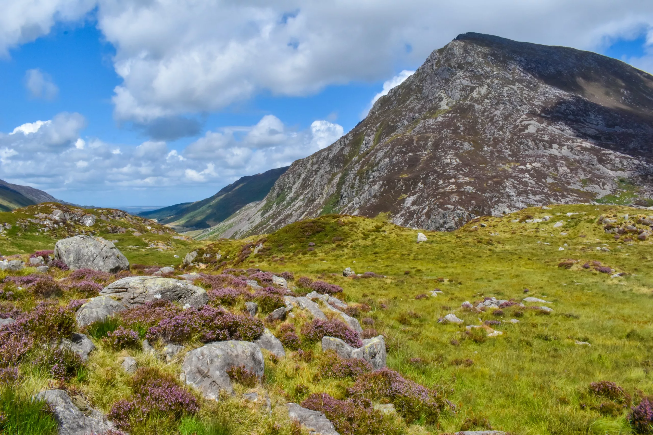 Un paysage montagneux sauvage de Snowdonia, avec ses pentes rocheuses, ses prairies verdoyantes et ses touffes de bruyère violette sous un ciel bleu nuageux : une image typique du Pays de Galles.