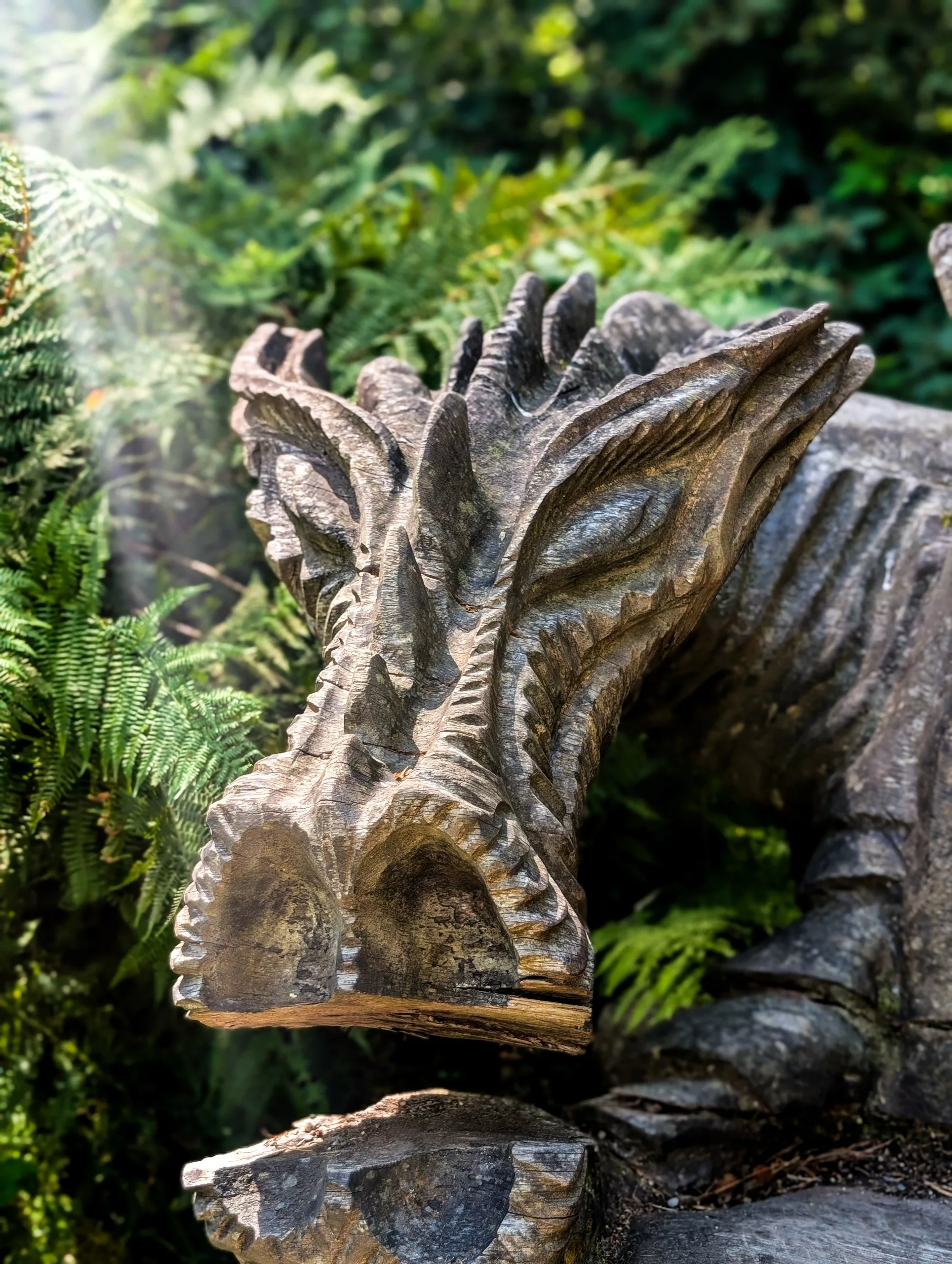 Une sculpture en bois représentant un dragon, symbole du Pays de Galles, placée devant des fougères vertes sur le sentier Dina Emrys.