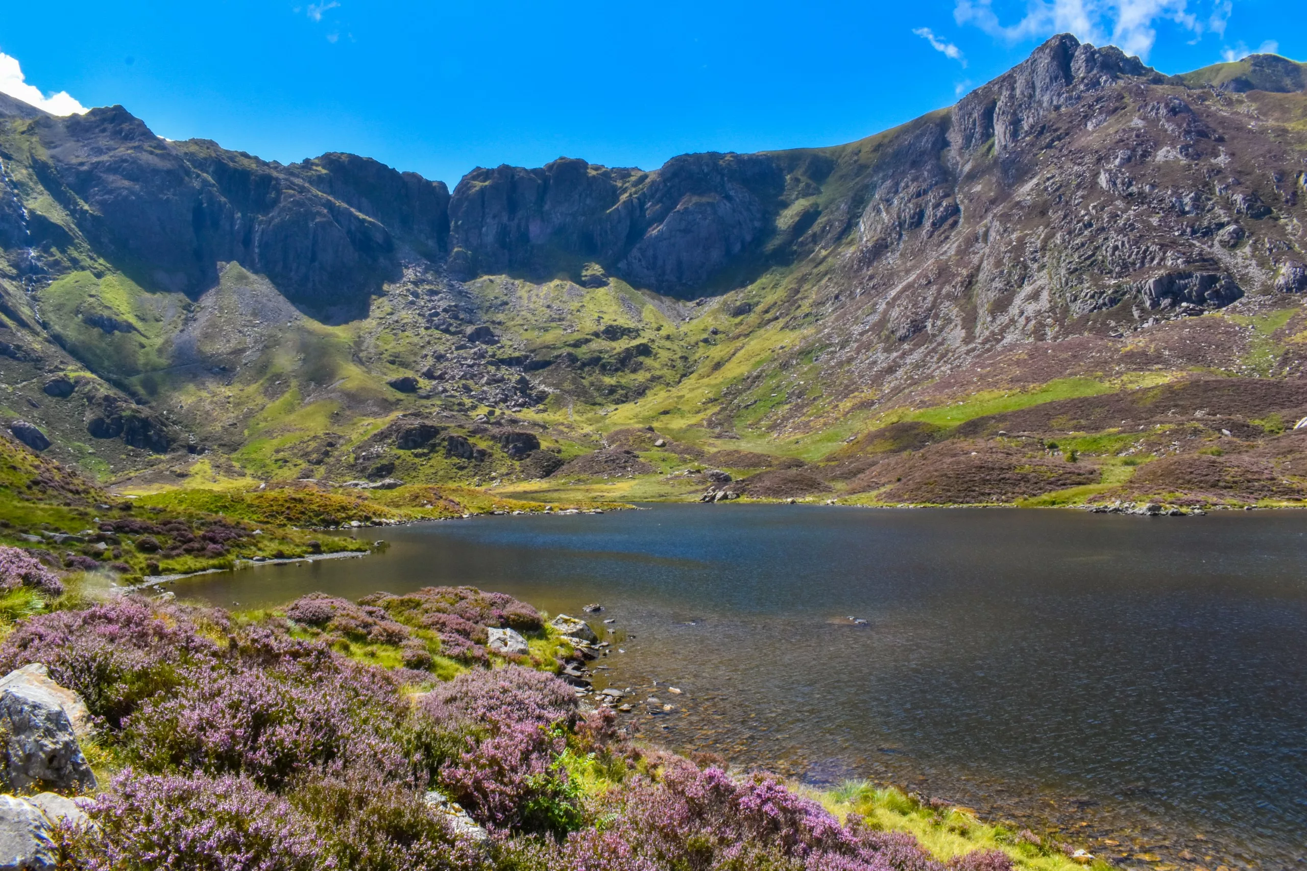 Un lac de montagne entouré de pentes verdoyantes, de pics rocheux et de bruyère violette au premier plan