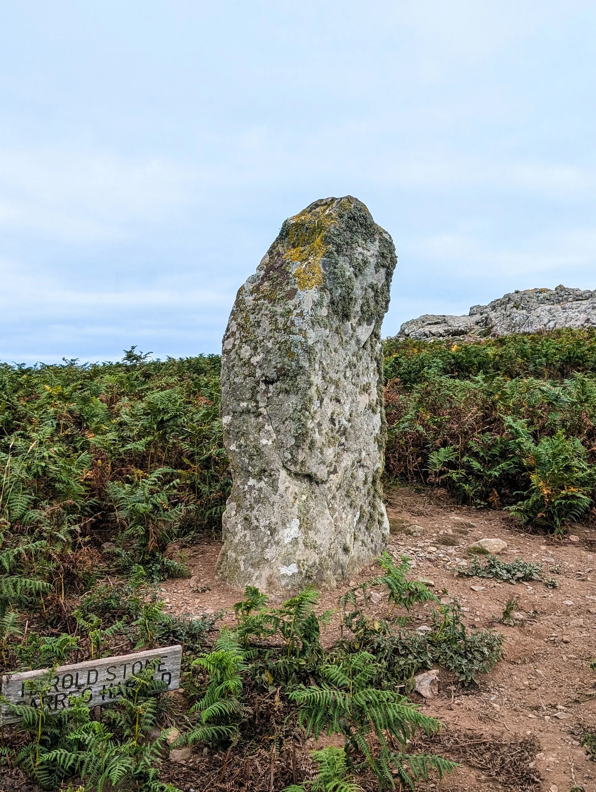 Un menhir haut et patiné par les intempéries, entouré de fougères, avec au premier plan un petit panneau indiquant « Harold Stone ».