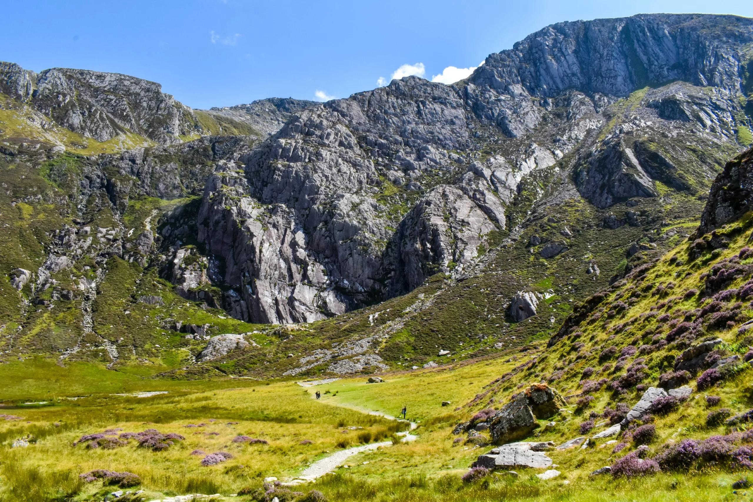 Un chemin de terre traverse une vallée verdoyante au Pays de Galles et mène vers une grande chaîne de montagnes escarpées.