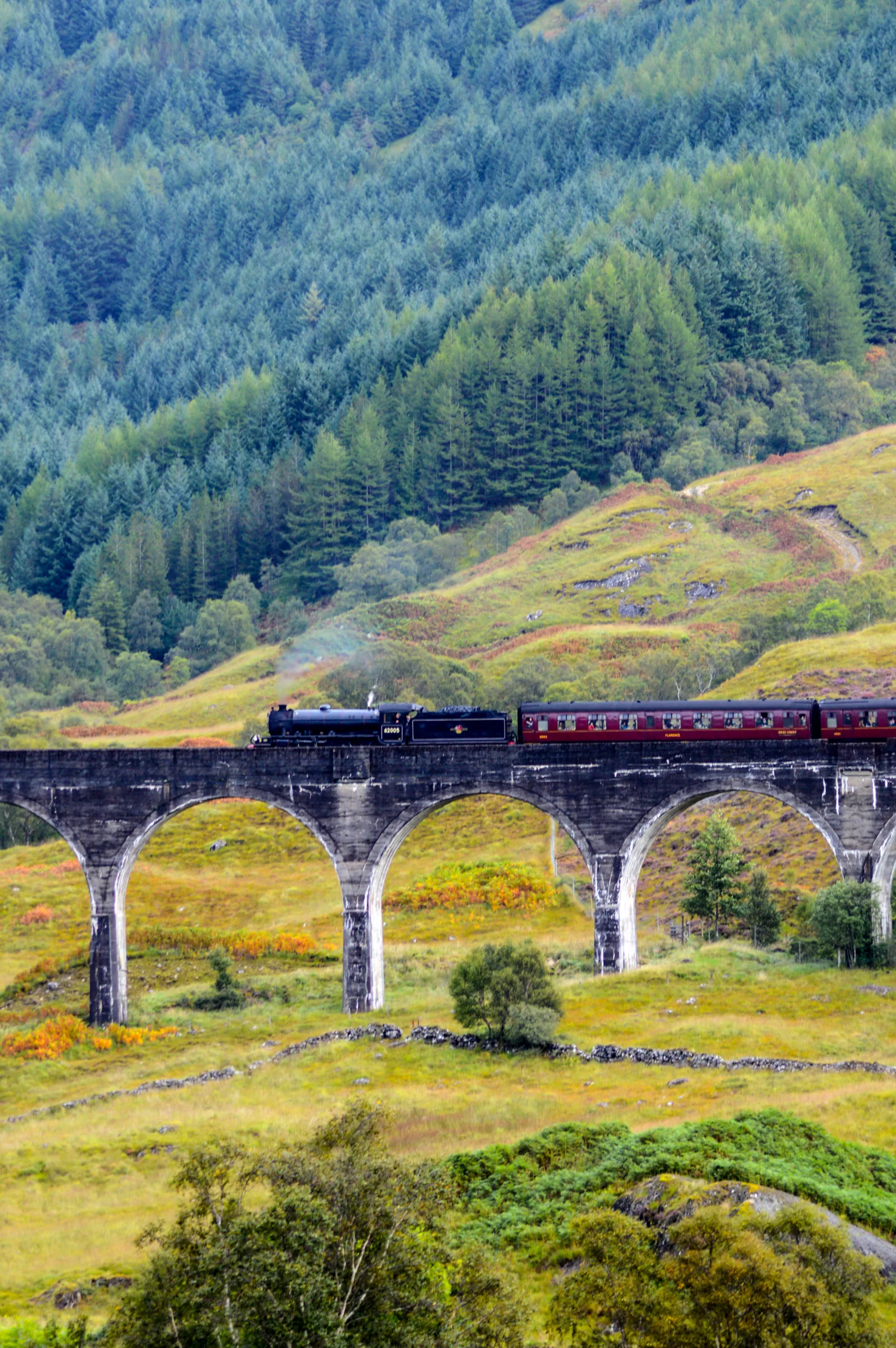 Un train à vapeur traversant un viaduc ferroviaire en pierre en Écosse, au milieu de collines couvertes d'arbres et d'herbe.